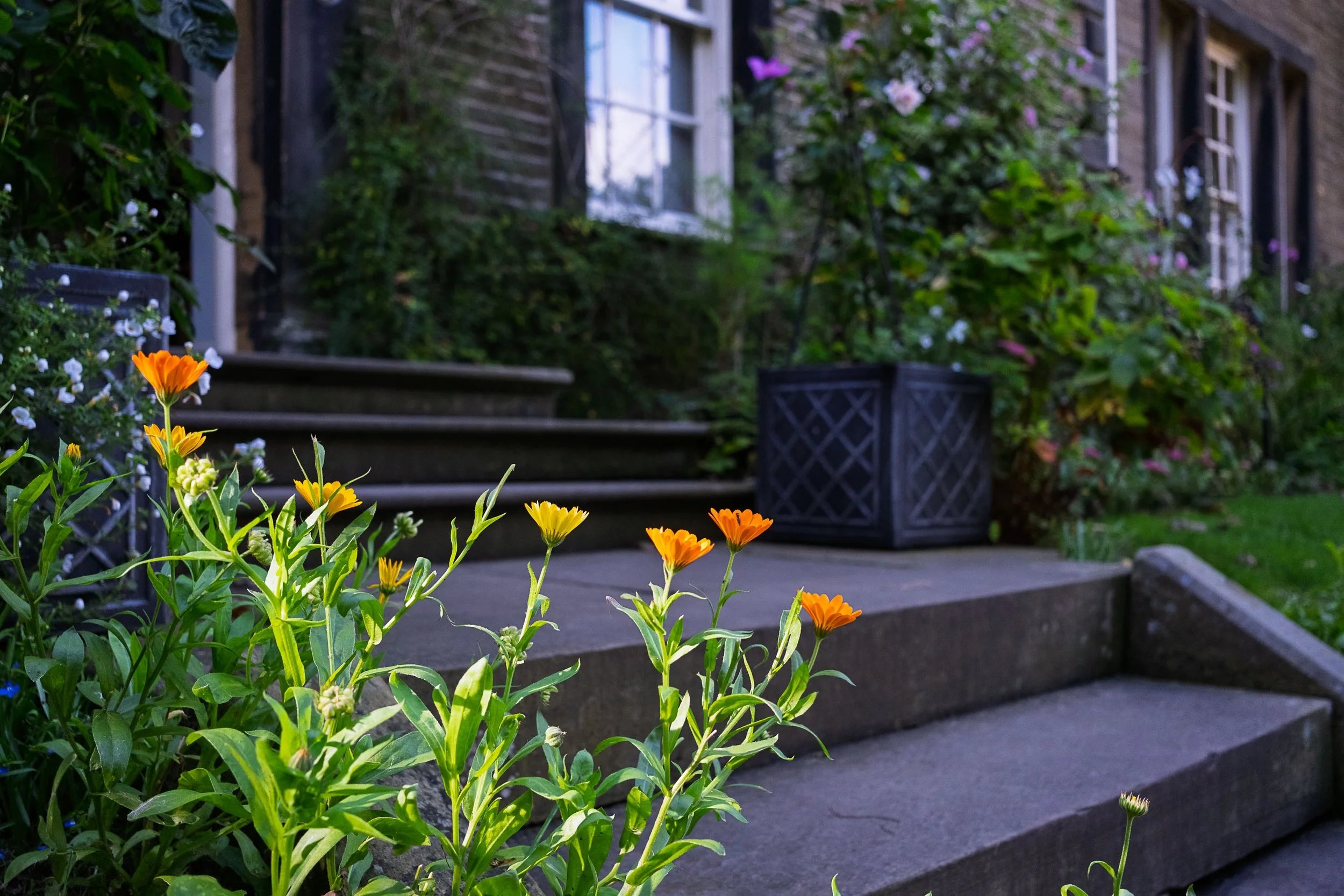 Flowers on the Steps of the Parsonage 