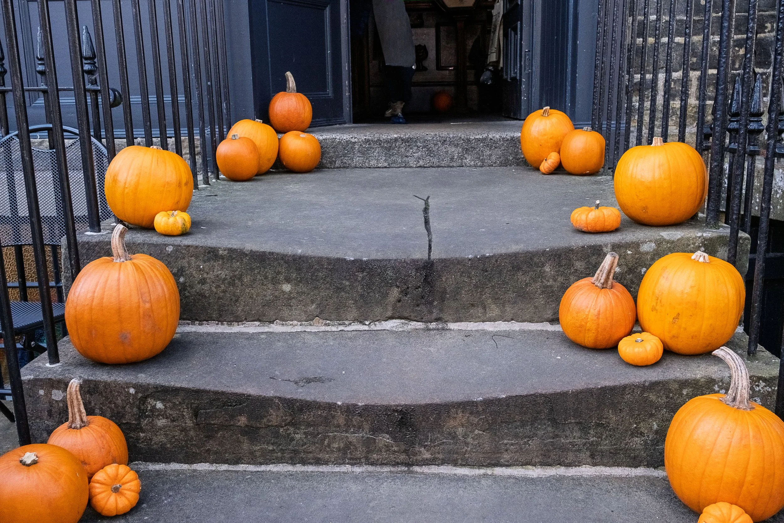 Halloween is Coming