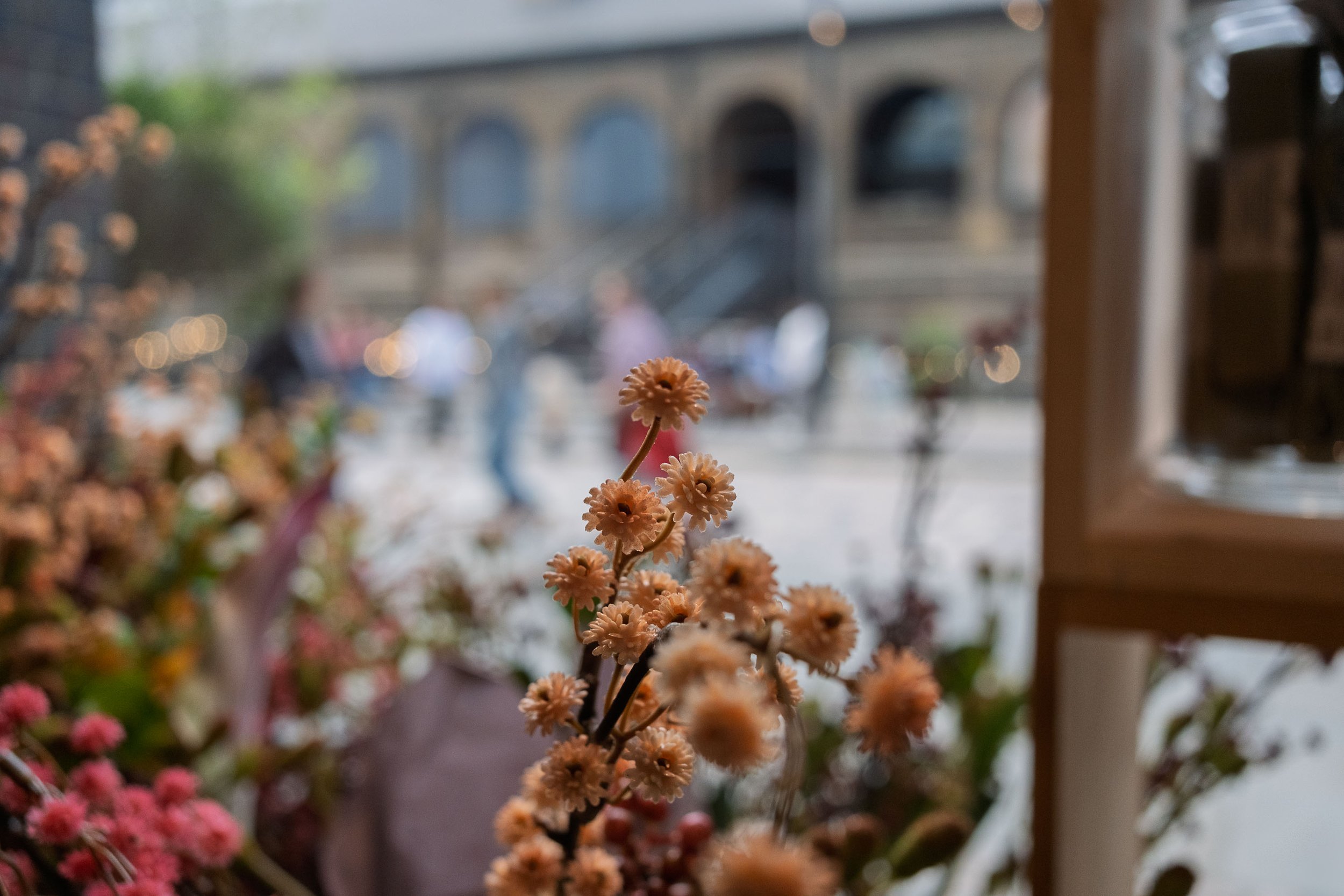 Flowers in a Window
