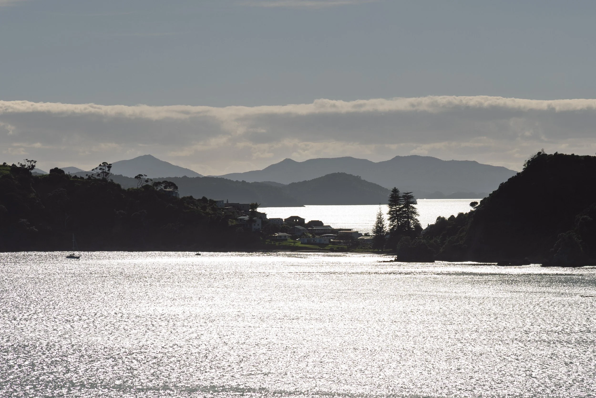Early Morning in the Bay of Islands