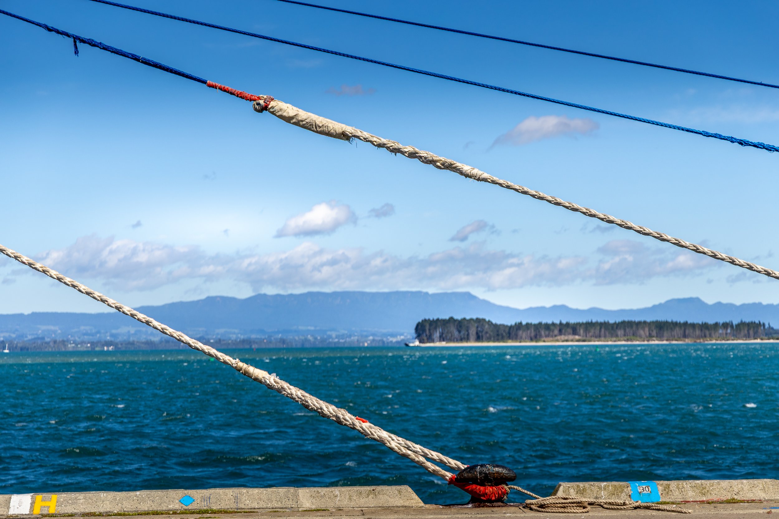 Mooring Ropes at Tauranga