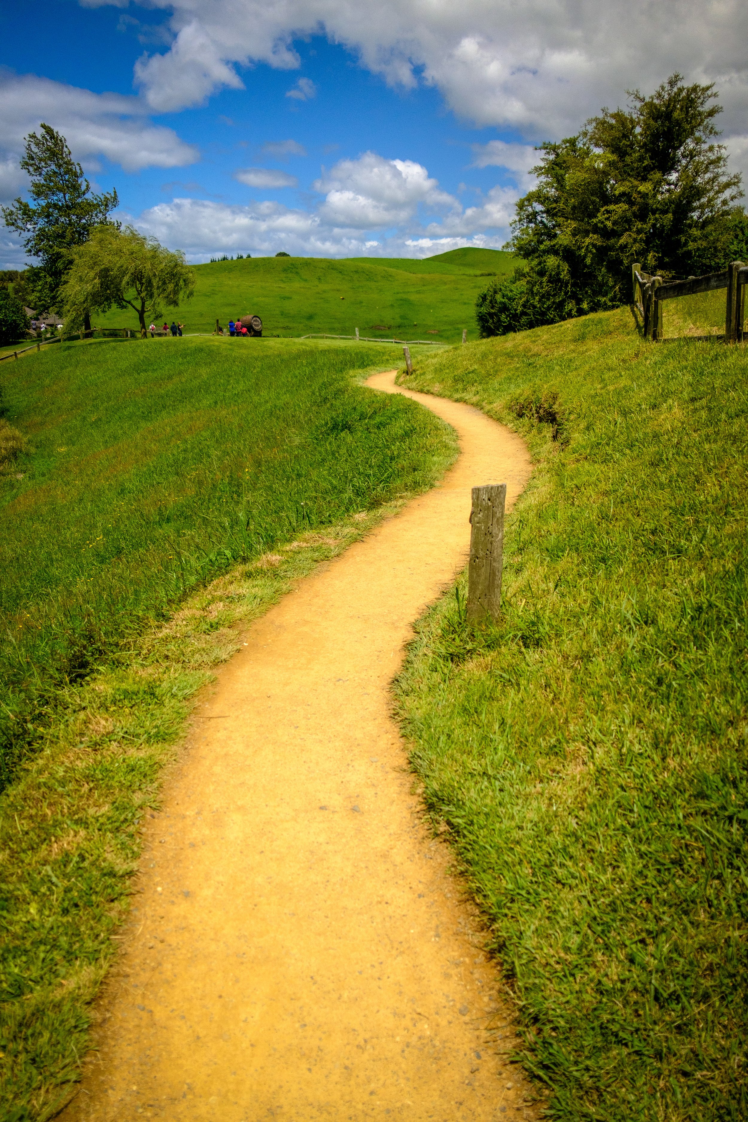Winding Road - Hobbiton, Matamata, NZ