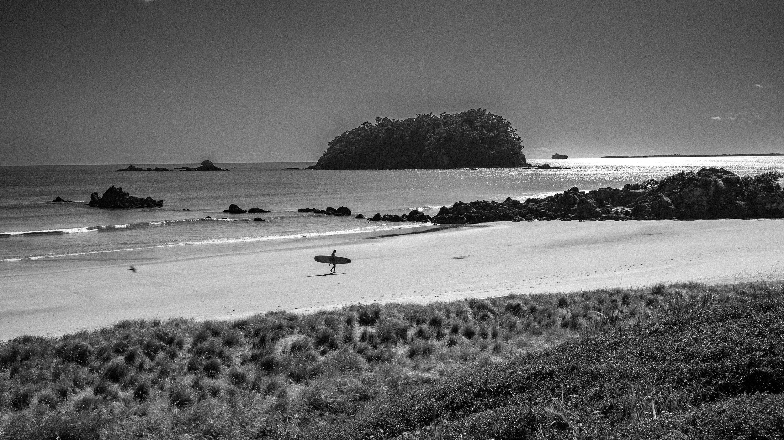 Surfer - Tauranga, NZ