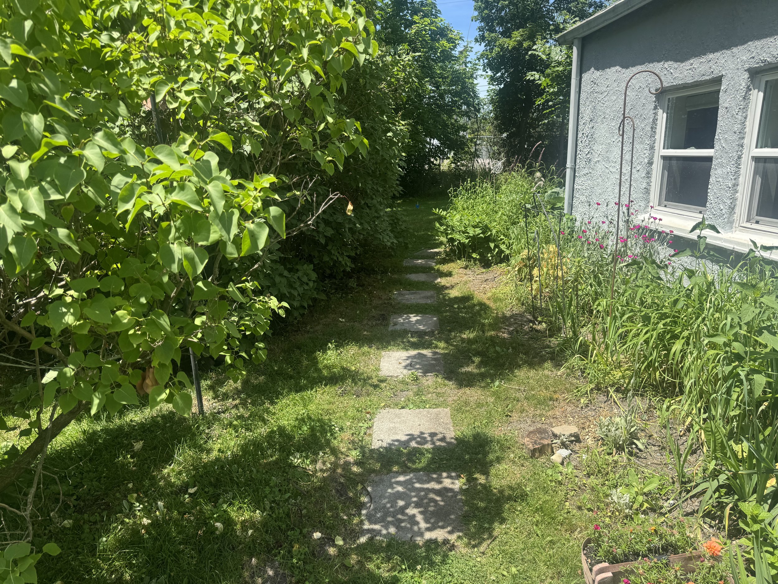 IMG_9760.jpeg