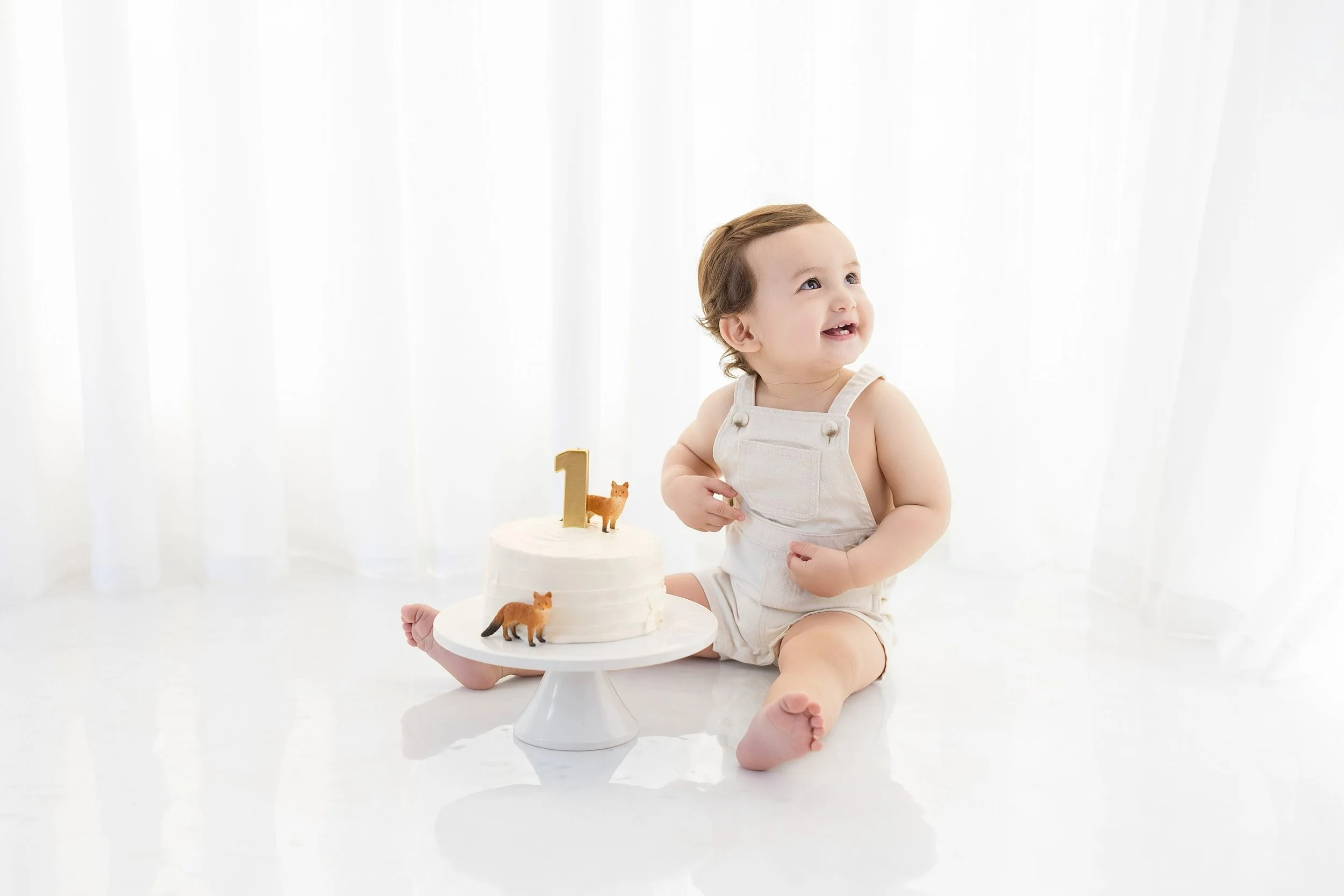 Daniela-Rochester-Hills-Cake-Smash-Photography-1.jpg