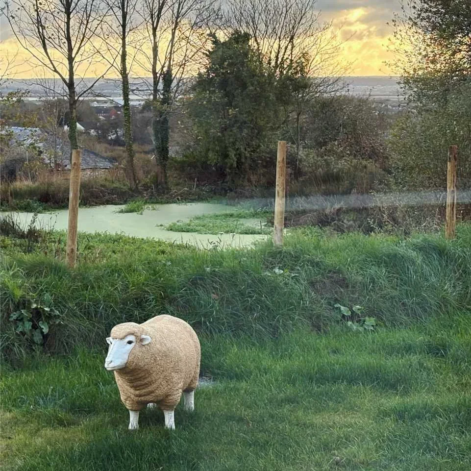 A life size fake sheep on lush grass with a pond behind, trees and a moody sky