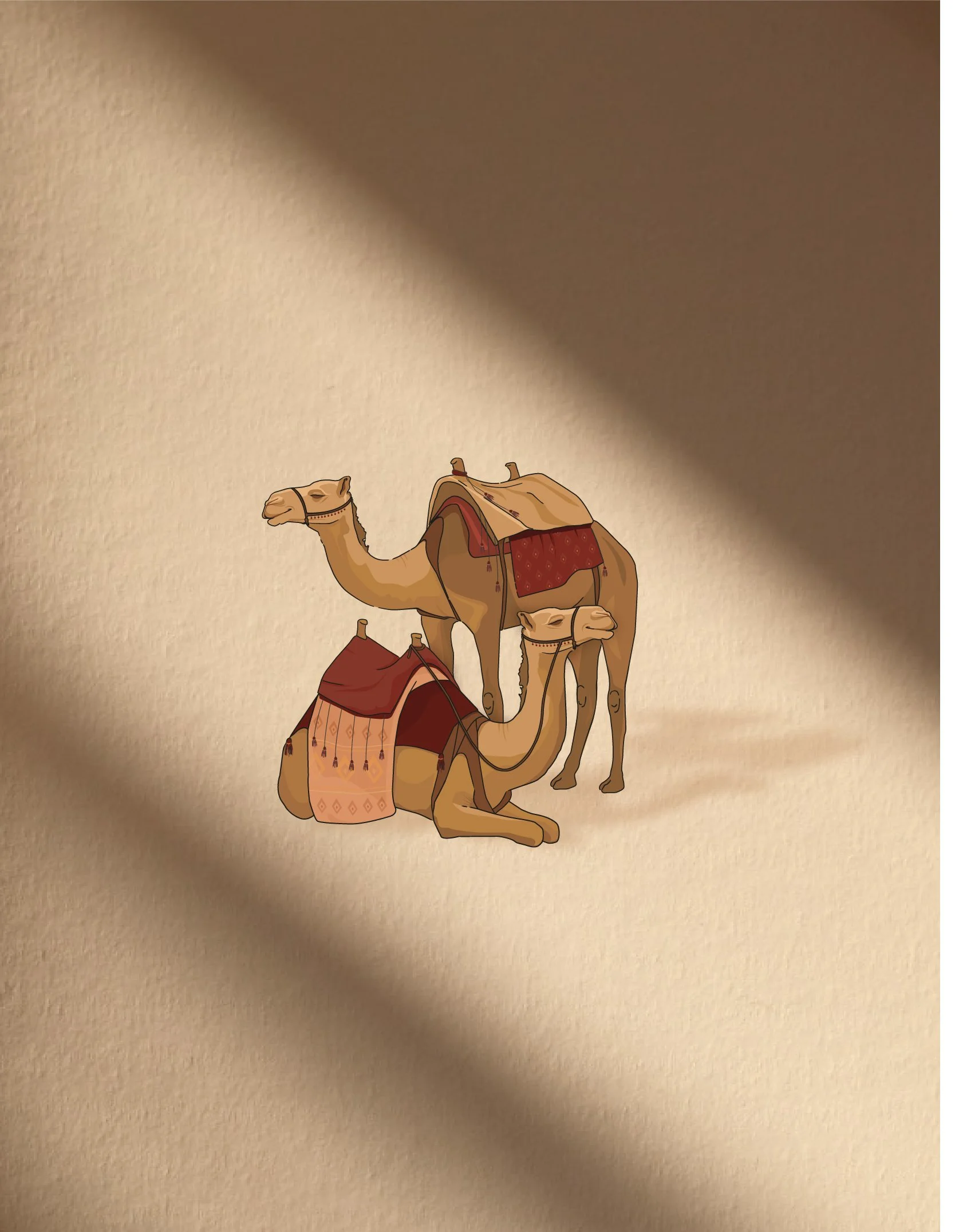 camel 4.jpg