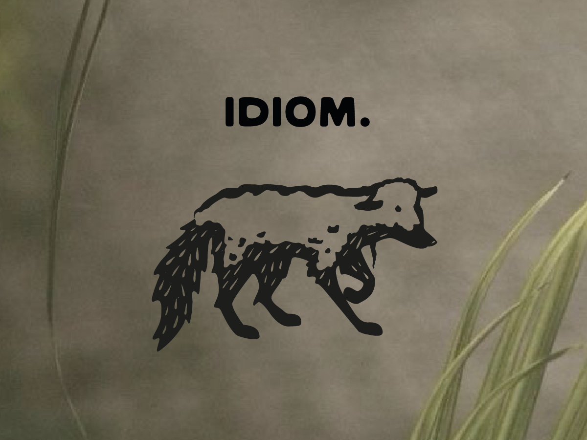 Wolf in Sheep's Clothing - Logo