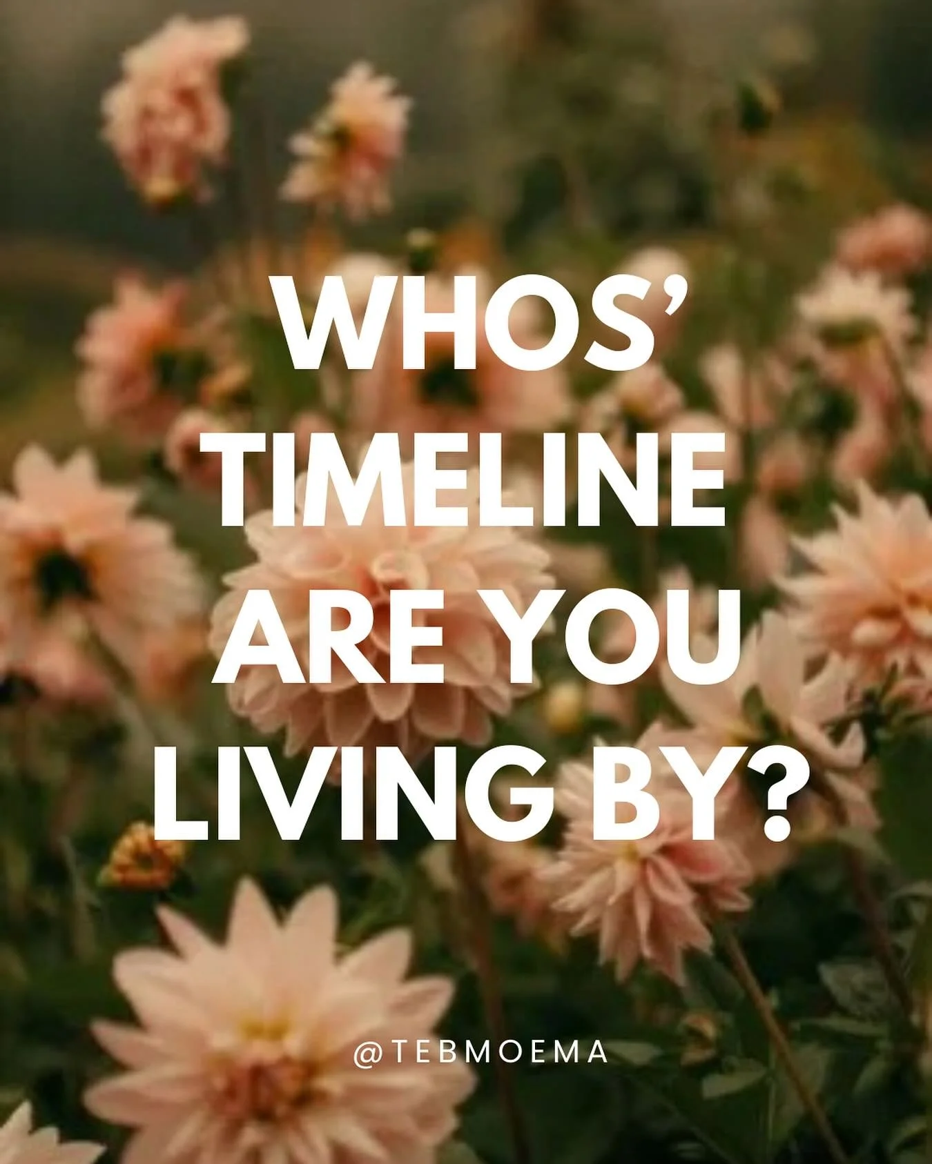 One the most powerful tools at a human beings disposal is the realisation that you get to create your own timeline in life 💕
As summer comes to and end and Virgo doubles down for us this autumn. It’s time to look at what routines do we have i