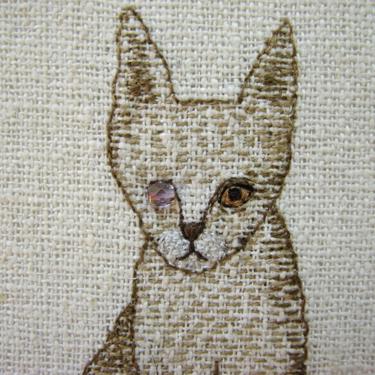 Cat with a glass eye