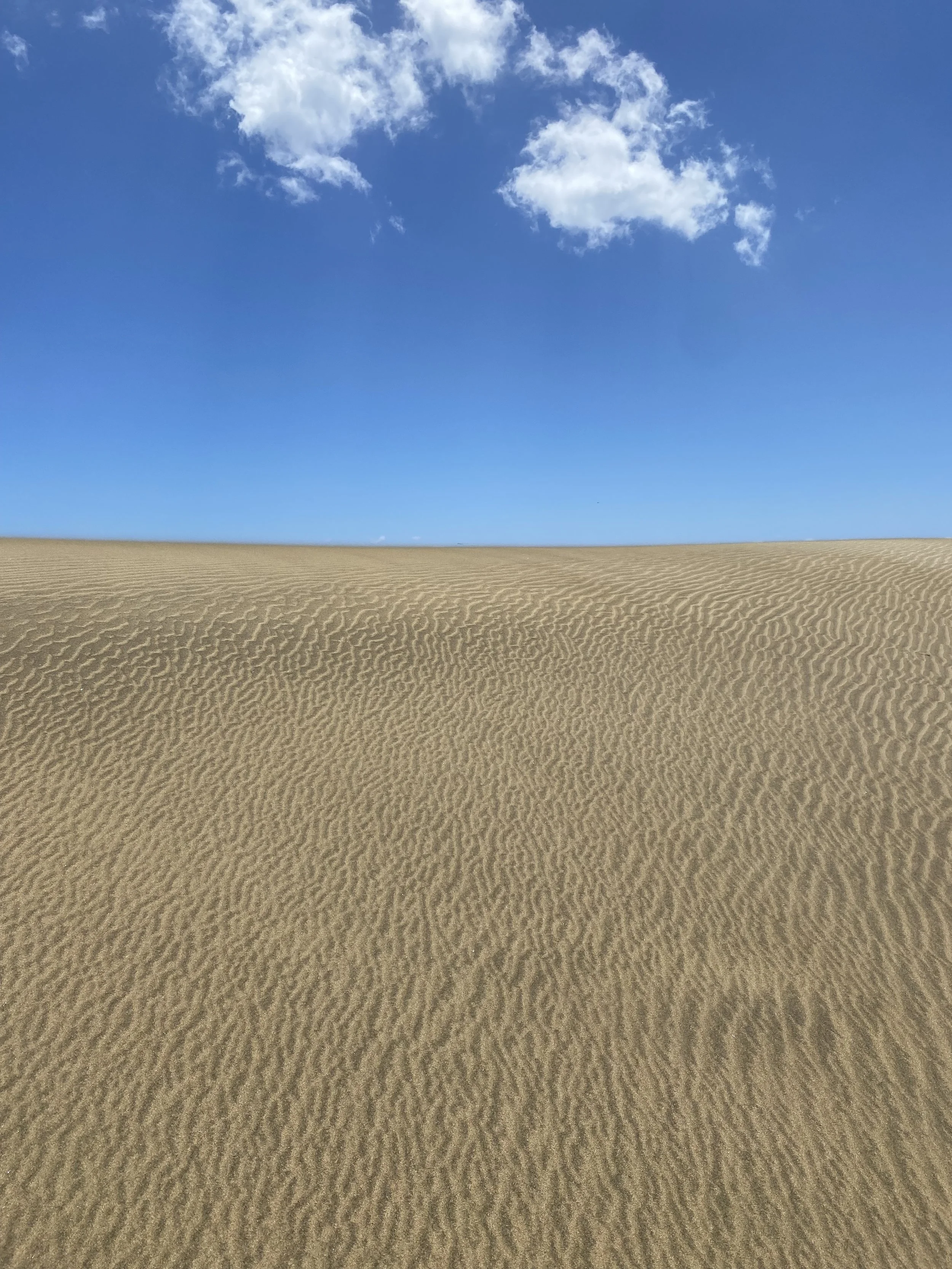 finding the path