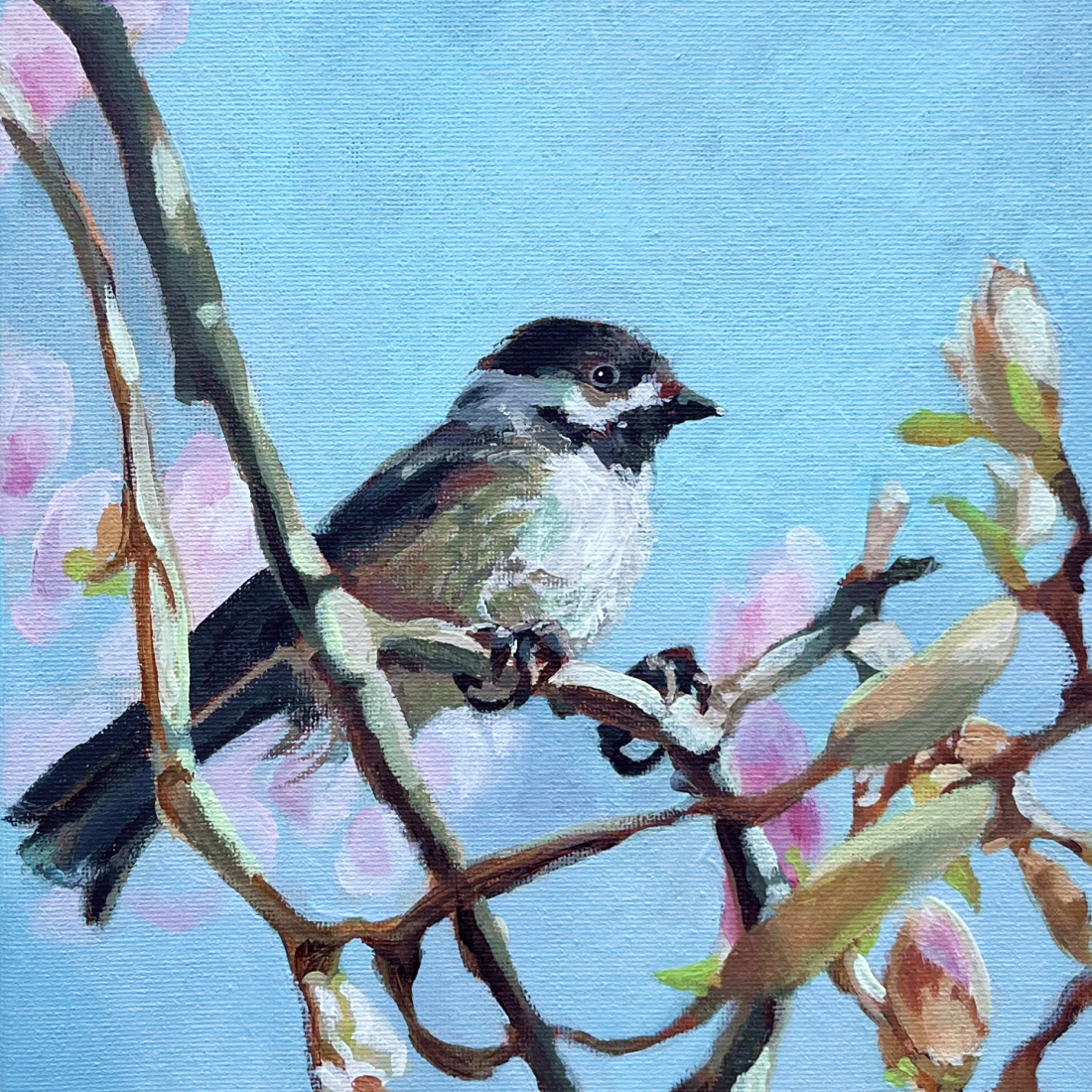 Painting of a chickadee perched on a branch with pink flowers against a blue sky background.