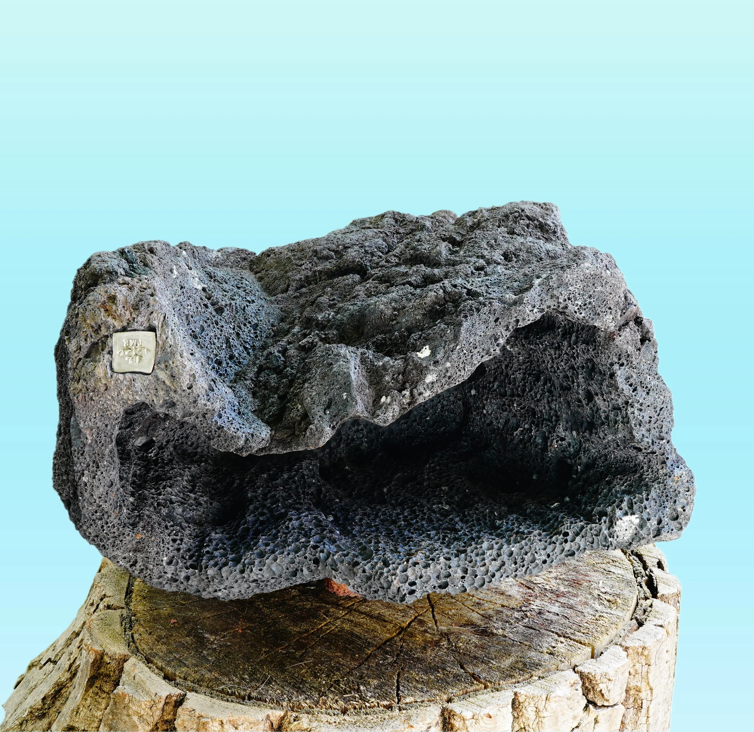 v1.jpg