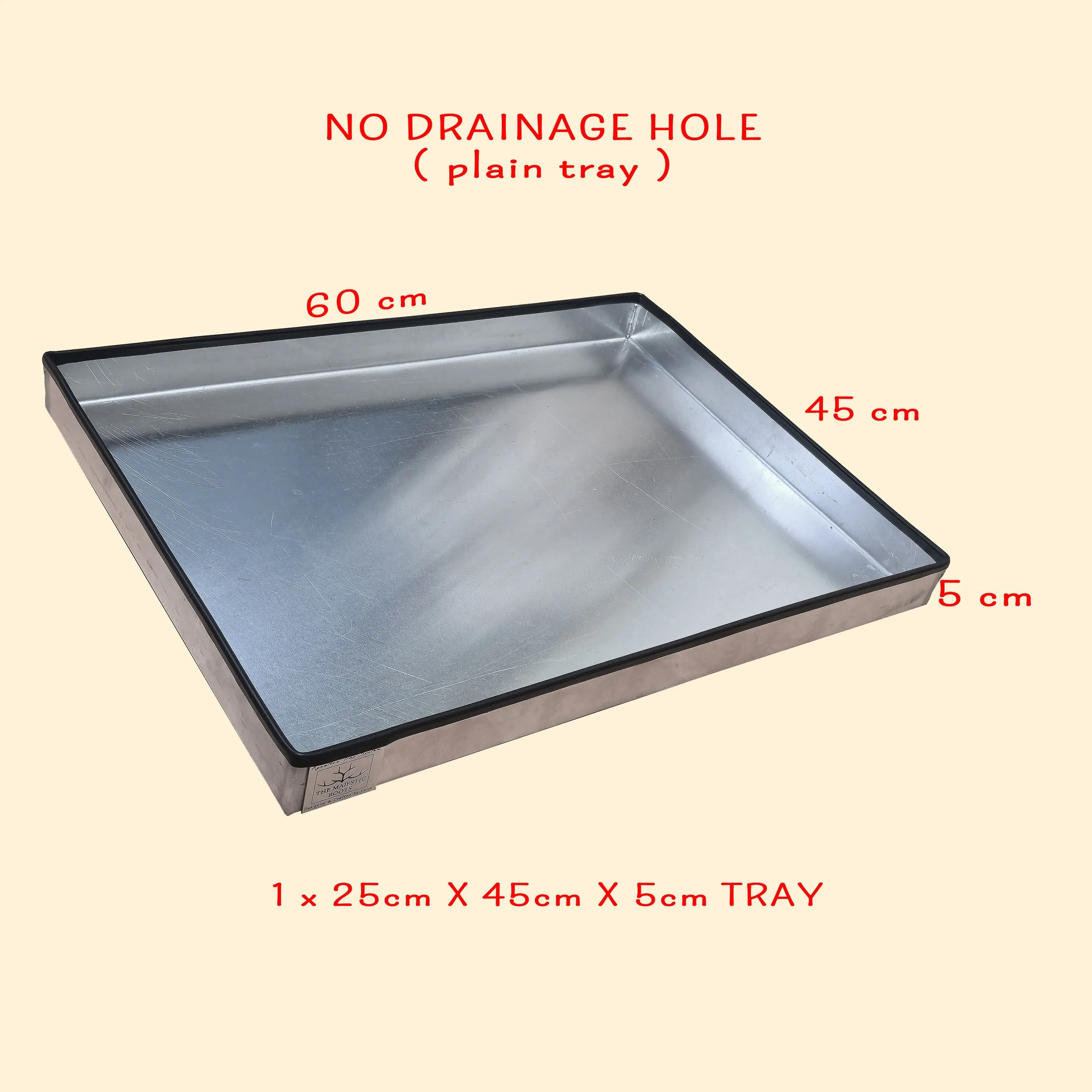 60x45 plain tray.jpg