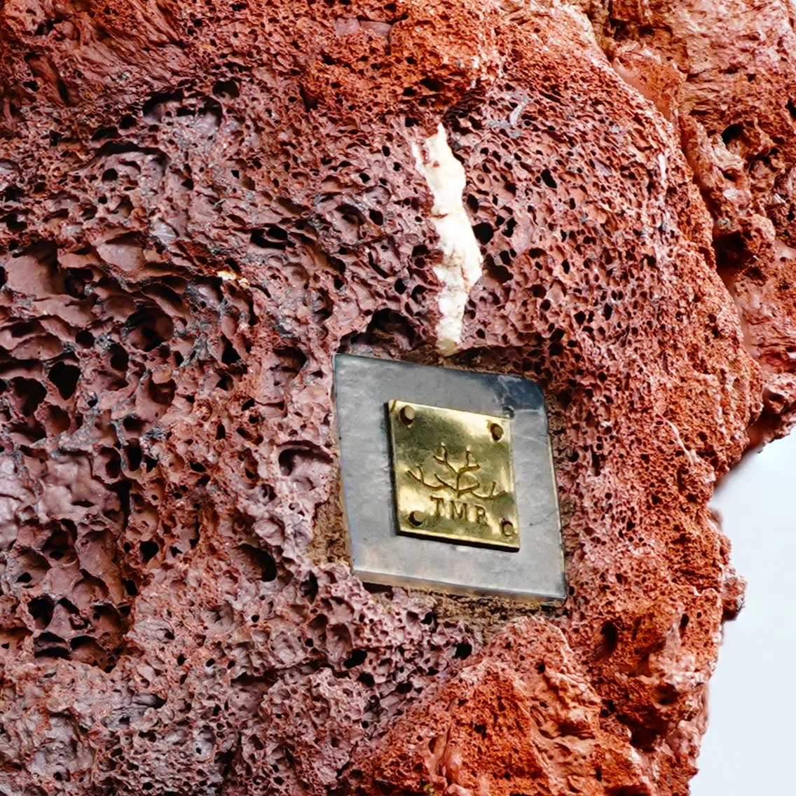 Gold Edition - 60cm x 35cm x 35cm