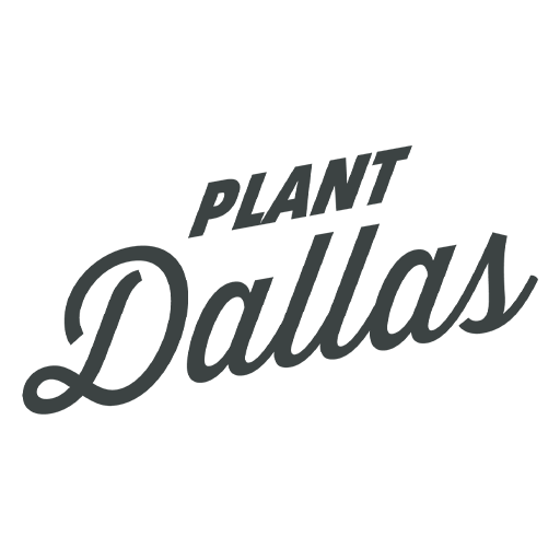 Black logo with the words 'Plant Dallas' in stylized font