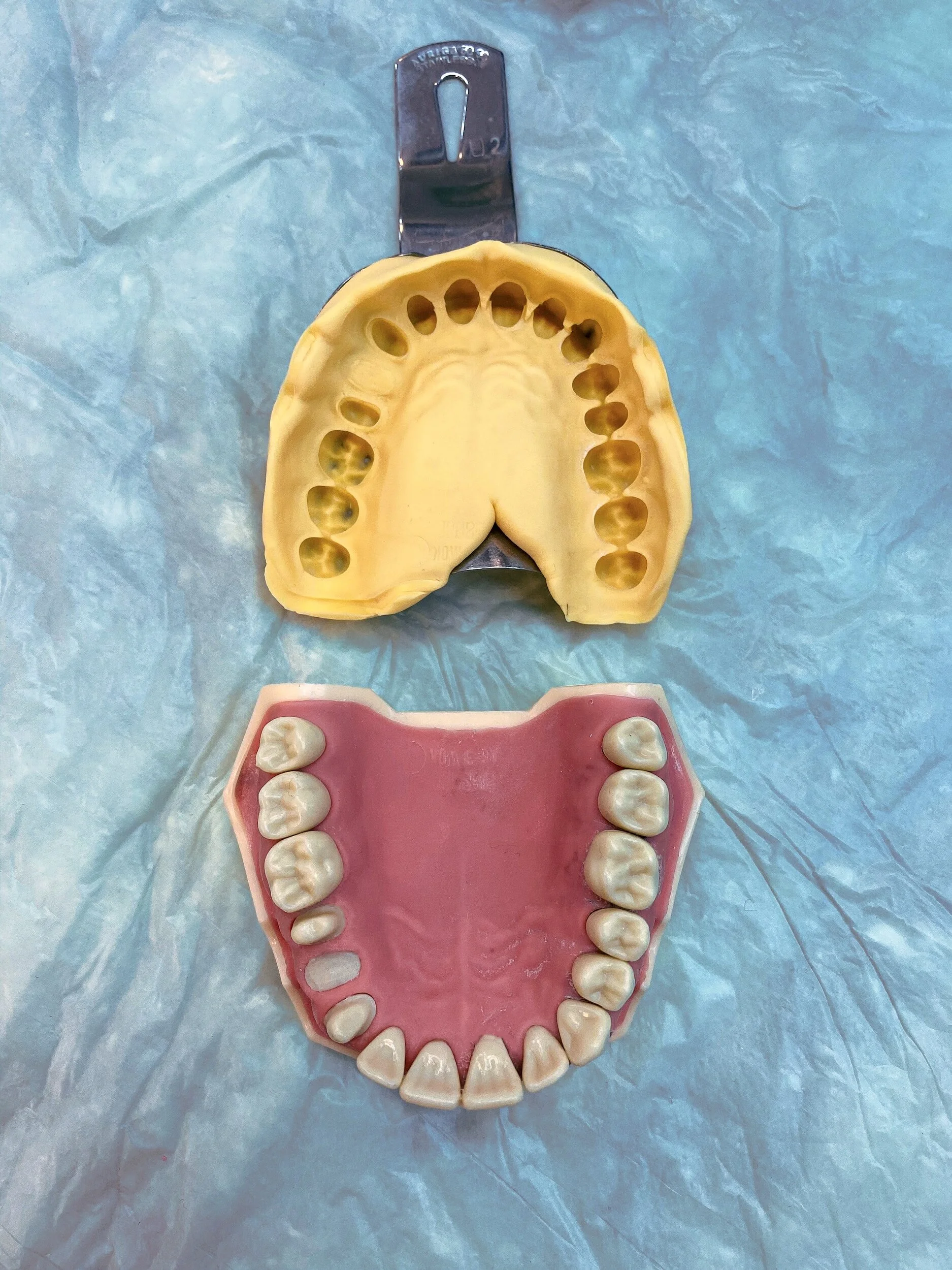 denture molds