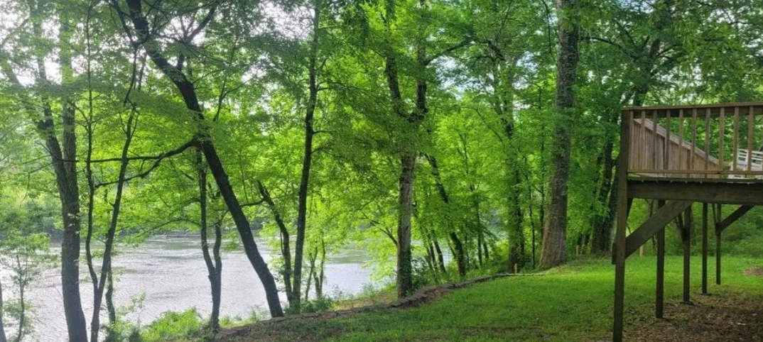 View of a wooded lakeside area with green trees, a grassy patch, and an elevated wooden deck on the right side.