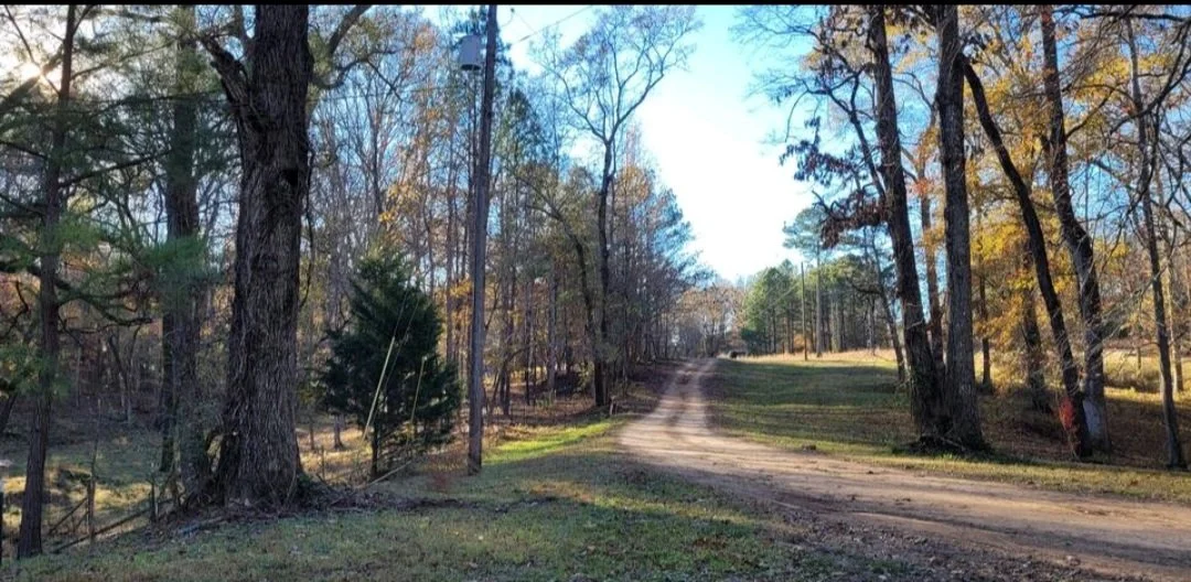A dirt road running through a wooded area with tall trees, some showing fall colors, under a partly cloudy sky.