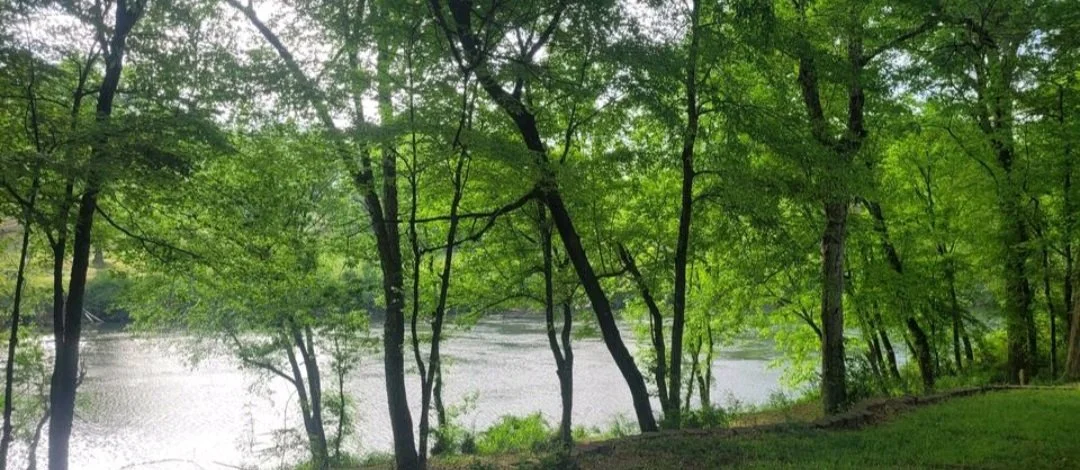 A tranquil view of a river surrounded by lush green trees with sunlight filtering through the leaves.