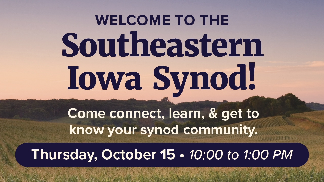 New to Synod Gathering