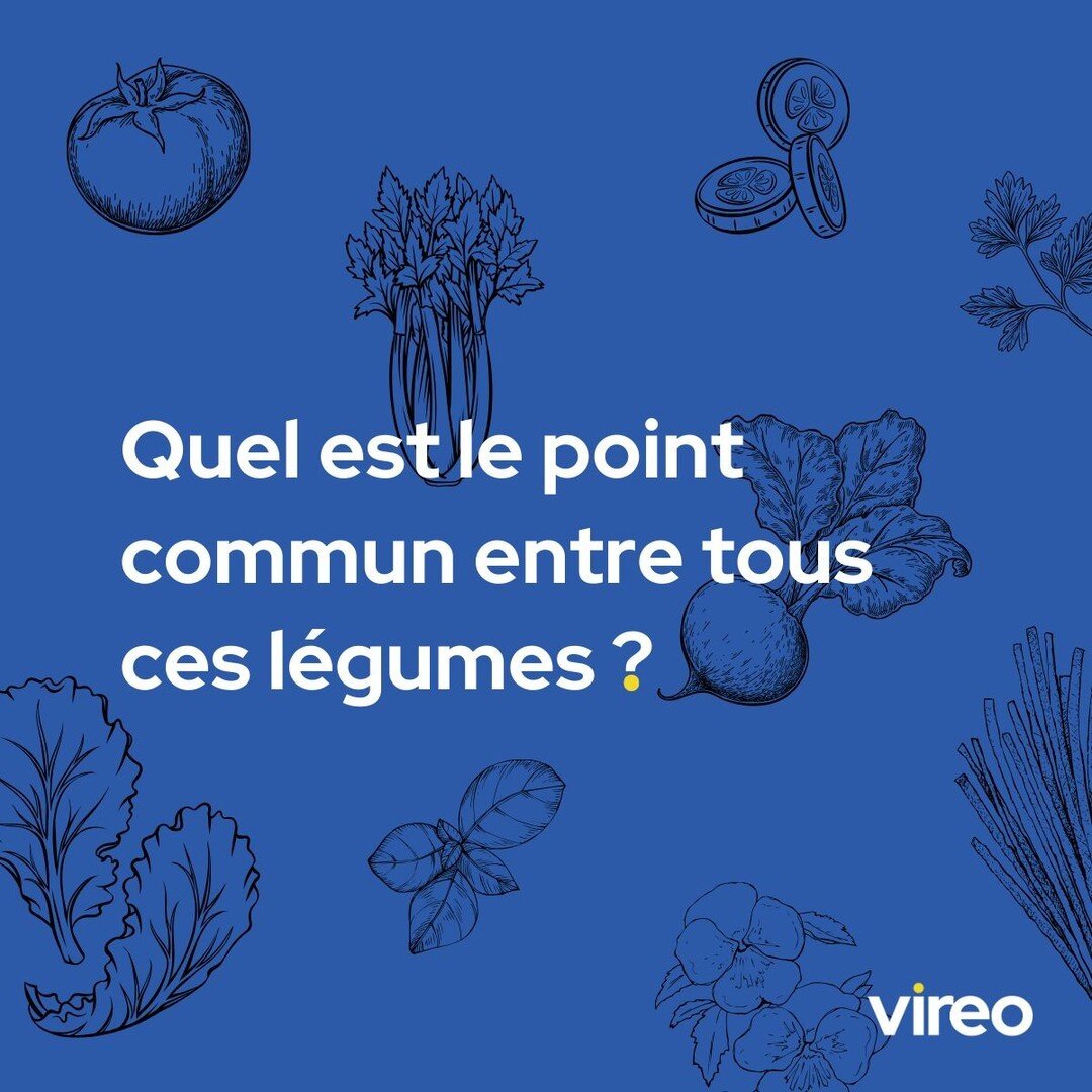 Quel est le point commun entre tous ces l&eacute;gumes ? 👀 🌱 

Alors, qu'est-ce qui vous retient ? Lancez-vous d&egrave;s maintenant ! 🚀
___
What do all these vegetables have in common? 👀 🌱 

So, what's holding you back? Embark on an extraordina