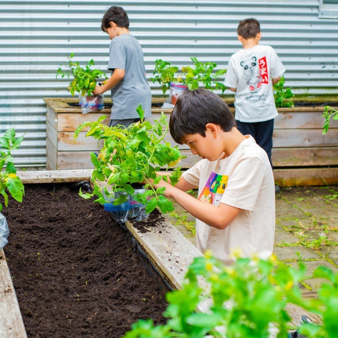 🌸 C'est le printemps ! 🌼 Avec l'arriv&eacute;e des beaux jours, l'excitation du jardinage se fait ressentir. 

Avec Vireo, le jardinage se vit toute l'ann&eacute;e ! Plus besoin d'attendre apr&egrave;s la temp&eacute;rature pour cultiver vos plante