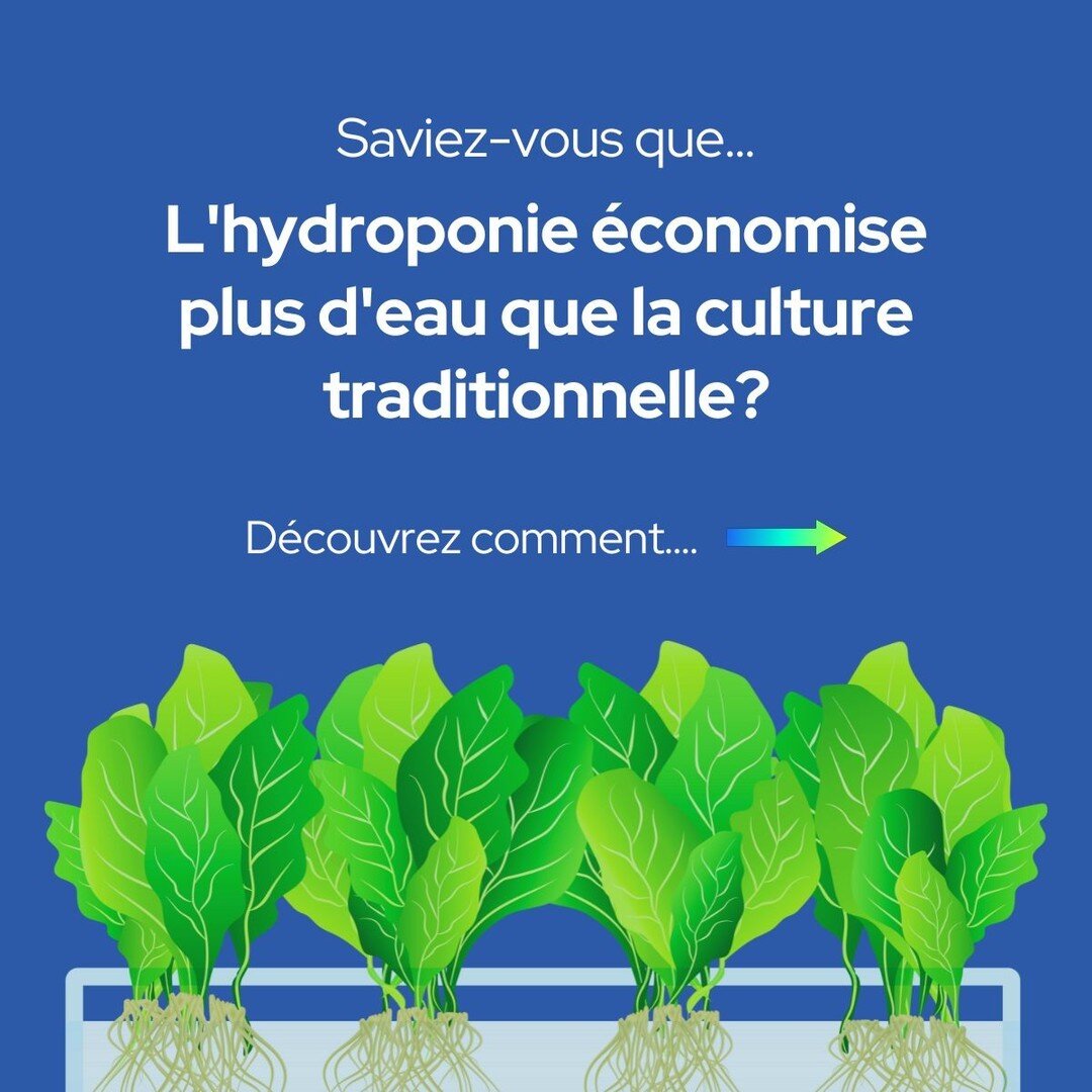 🌍💦 &Agrave; l'occasion de la Journ&eacute;e mondiale de l'eau, parlons de culture hydroponique... 👀
___
🌍💦 On the occasion of World Water Day, let's talk about hydroponics... 👀