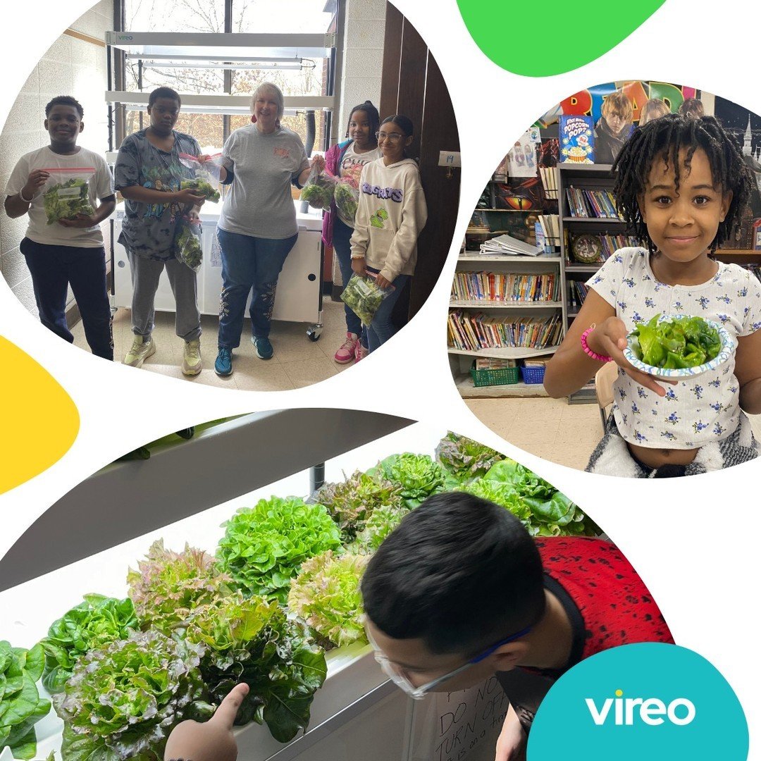 Take a look at these heartwarming snapshots from Casimir Pulaski School in Connecticut! 🌟🇺🇸 During their recent harvest, these amazing students not only cultivated vegetables but also nourished their community by donating the fresh produce to a lo