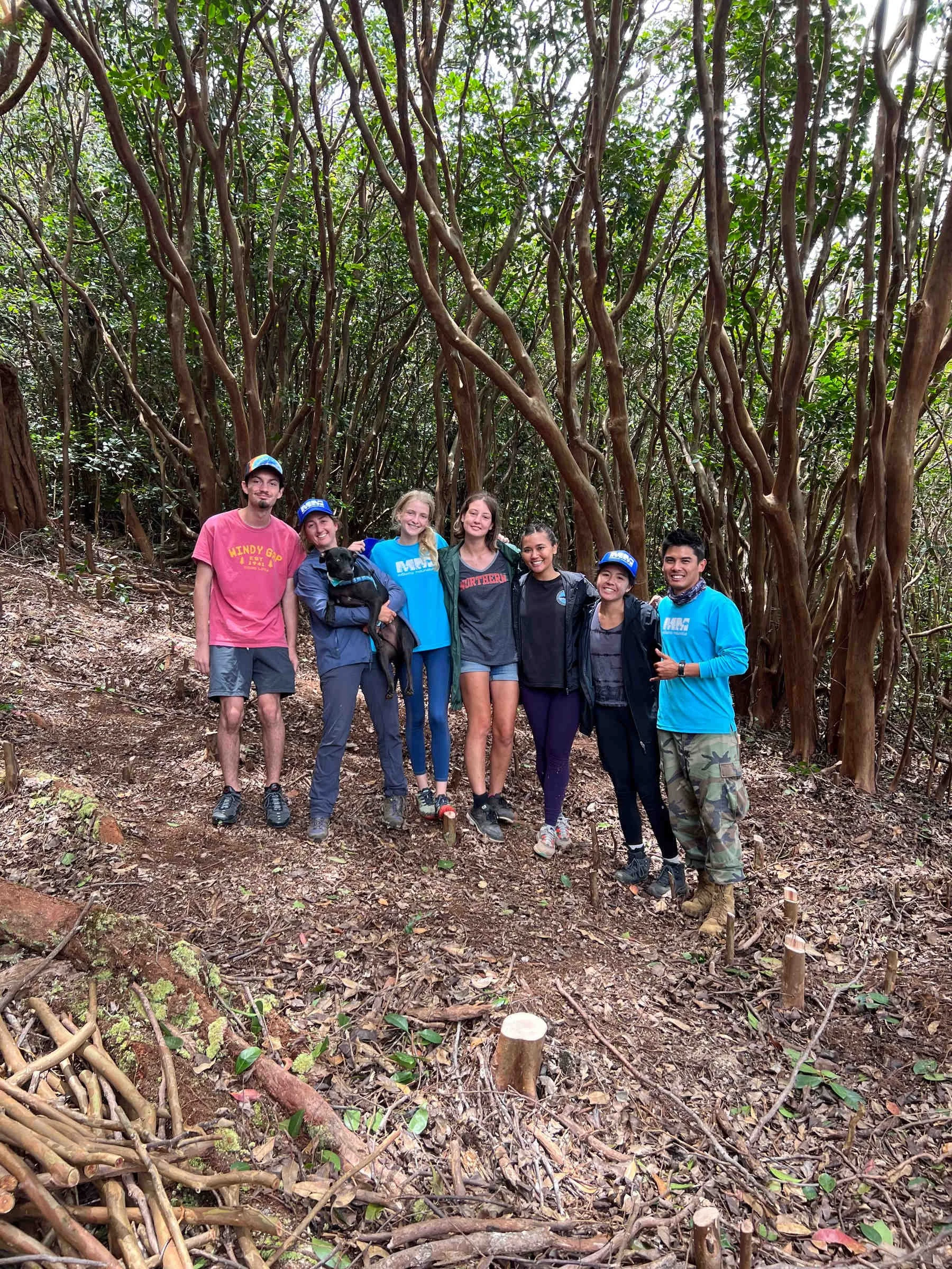 June 29, 2022 - Workday at the Wiliwilinui Restoration Site with KMWP Associate Partner, Mālama Maunalua staff and interns.