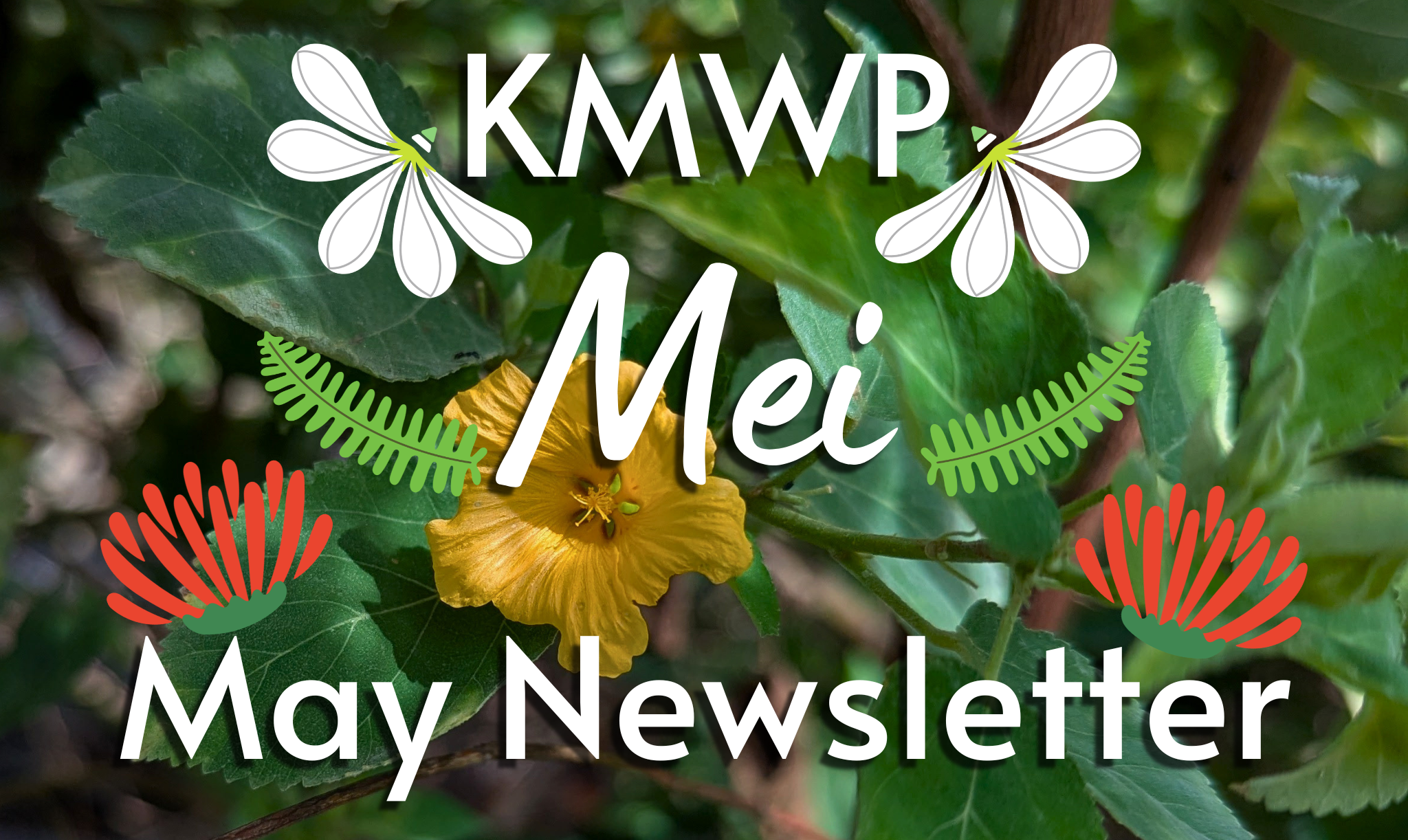 KMWP May 2026 Newsletter