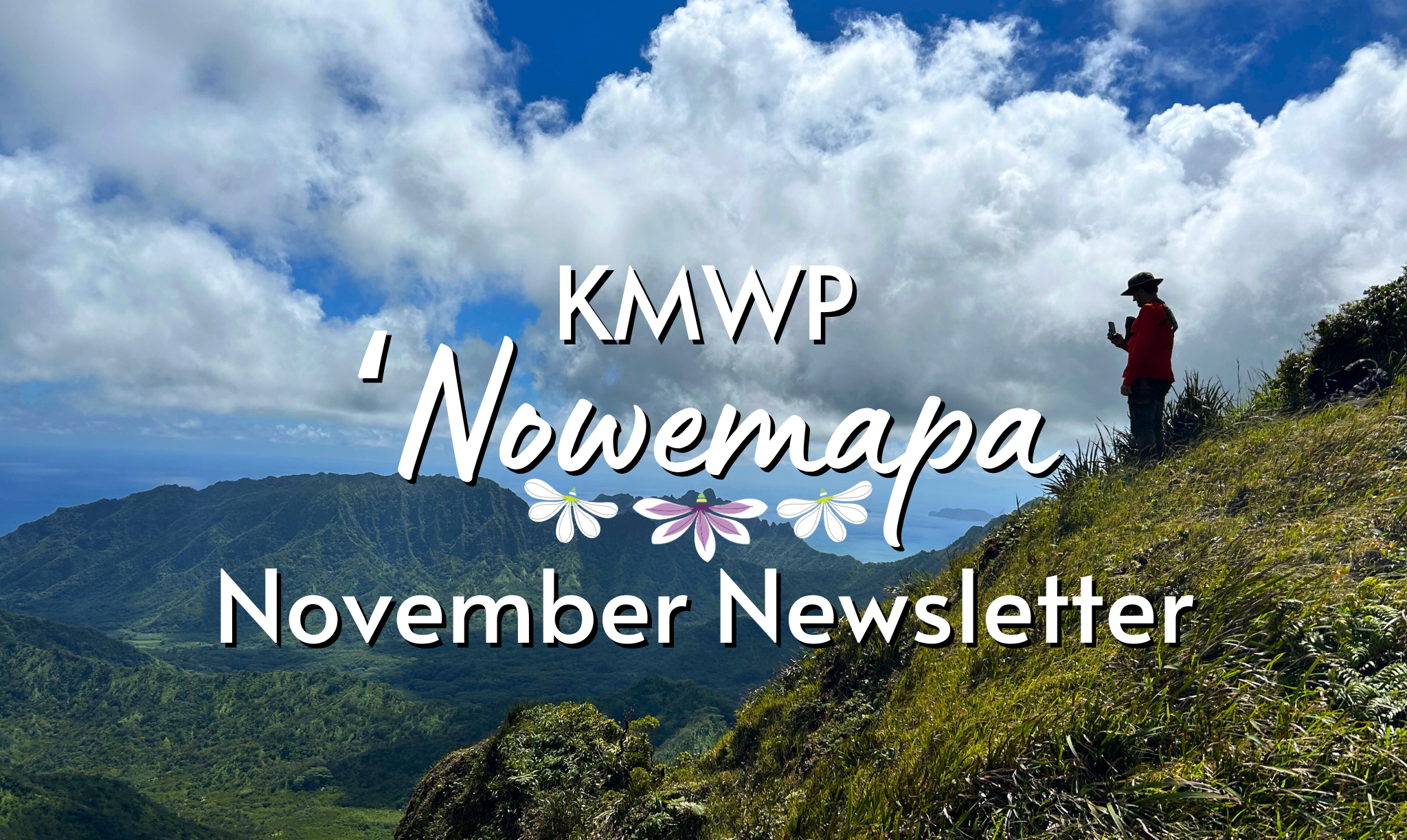 KMWP November 2025 Newsletter