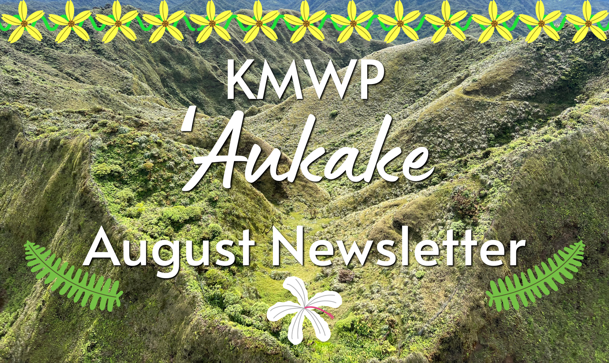 KMWP August 2026 Newsletter