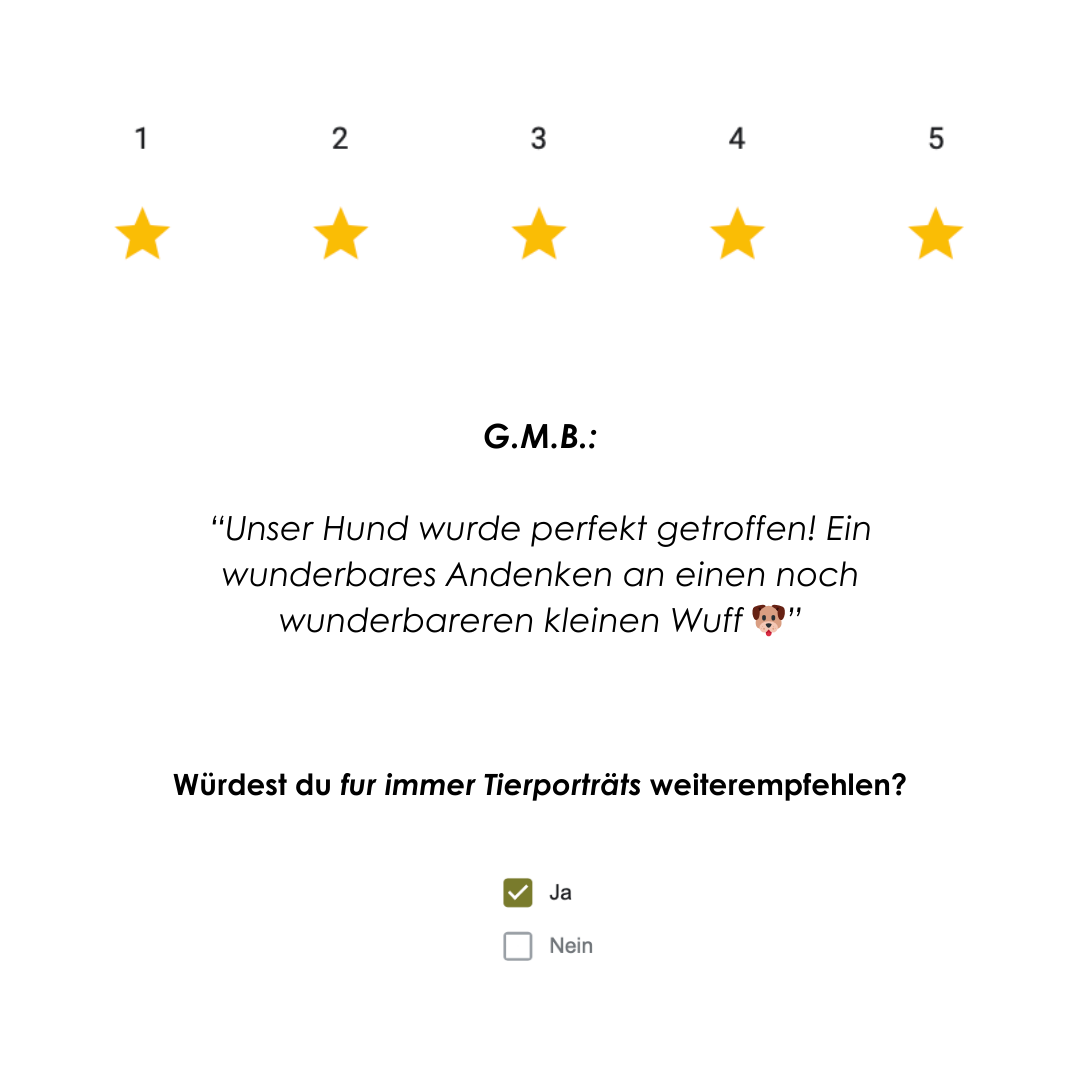 Bewertung TS.png