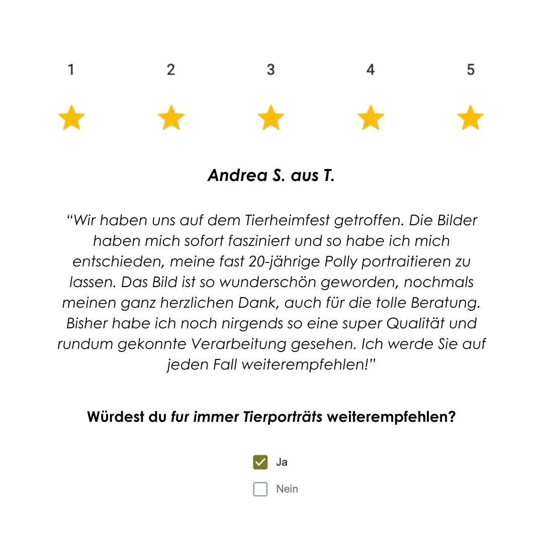 Bewertung TS.jpg