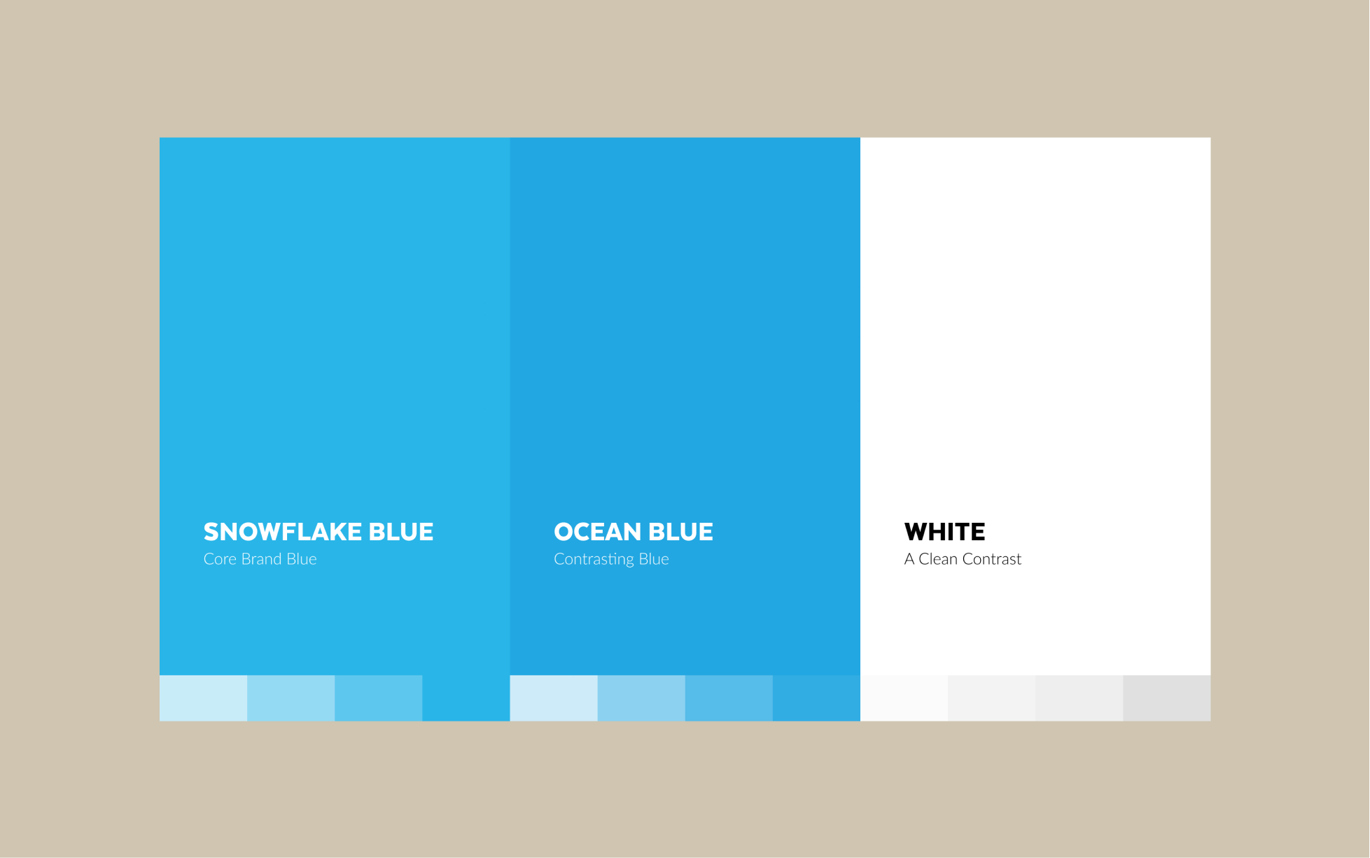 Foundational Elements: Color Palette