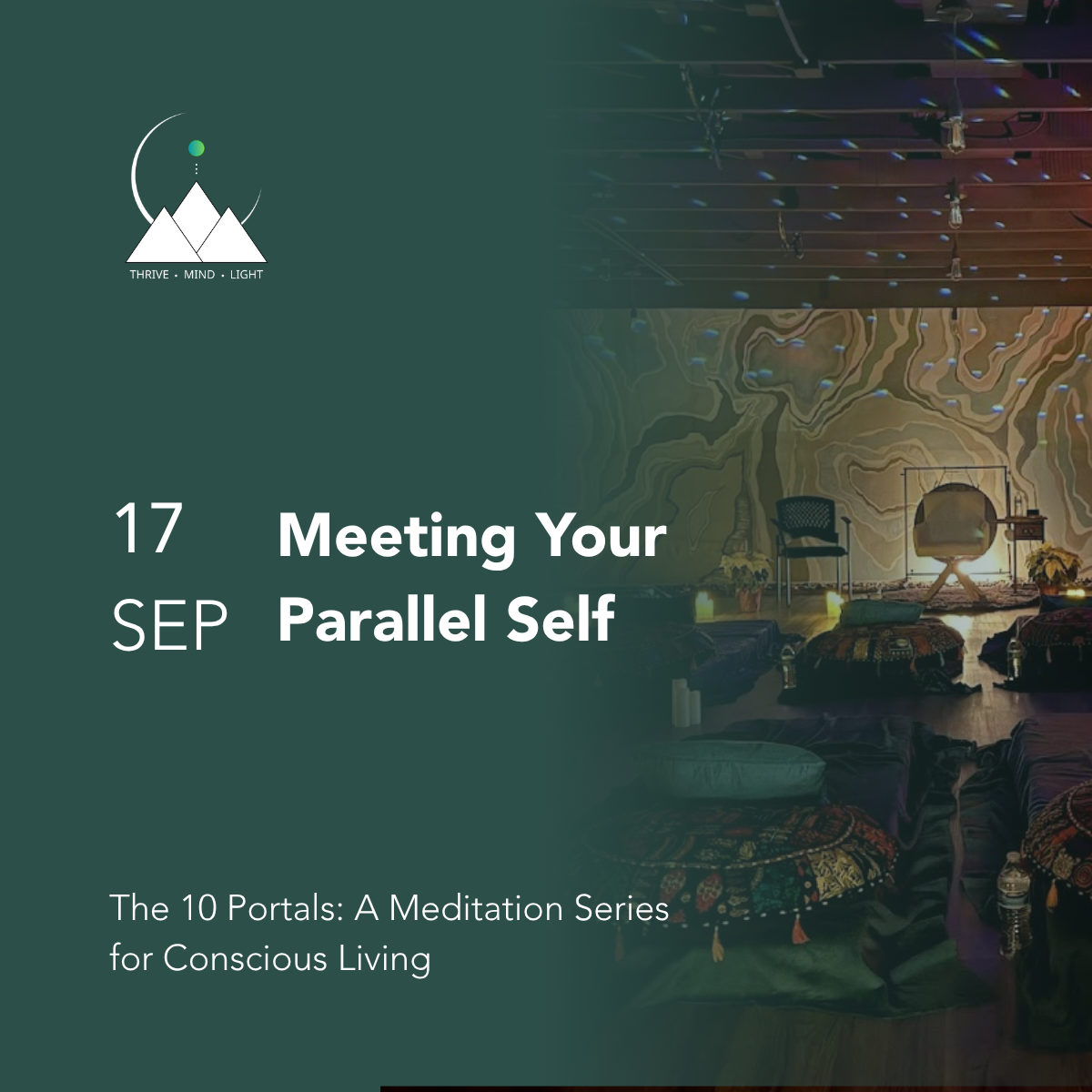 Meeting Your Parallel Self (10 Portals Meditation Series)