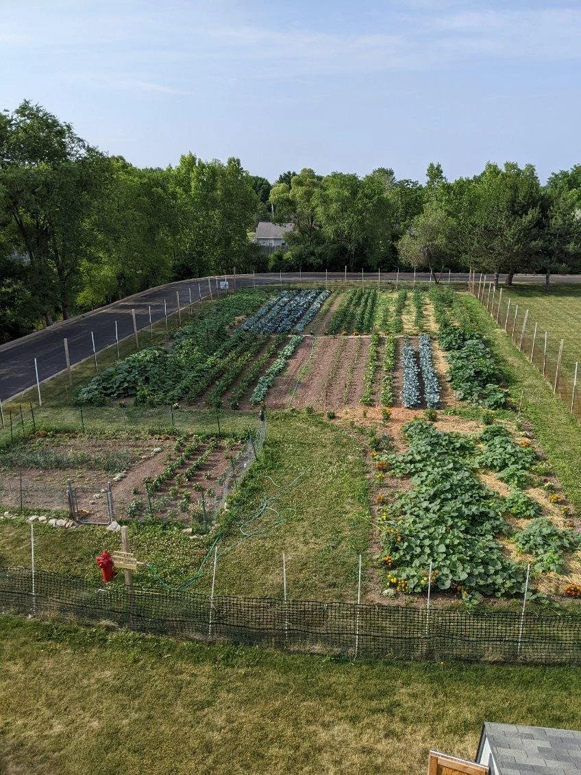 Programs — St Joseph Food Program