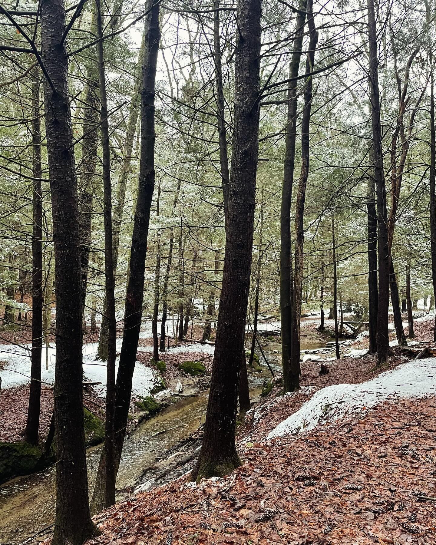 Back from my winter social media break and feeling like these woods. There's still a smattering of snow and it's not spring yet, but the water is flowing and things are slowly waking-up🩵

And sound on for the last slide! If you listen closely you'll