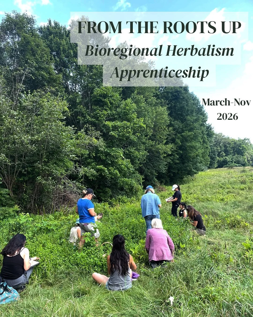 Our 2026 apprenticeship in bioregional herbalism, FROM THE ROOTS UP, is open for registration! Now offering year 1 and year 2 programs. Join us!
We frolic, laugh, make medicine, connect with each other and with the plants💐🧺🫙💞
Classes often fill