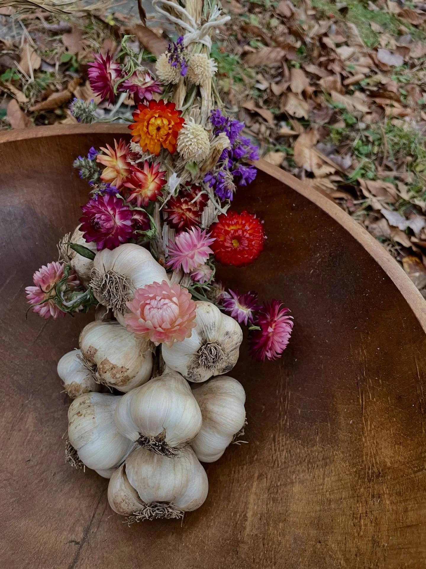 Finally getting my garlic in! Better late than never. And I also finally braided-up the softneck variety that I grew this summer too✨🧄✨

Even though I have a small amount of garden space, garlic is *always* a plant I make room for. It just doesn't s