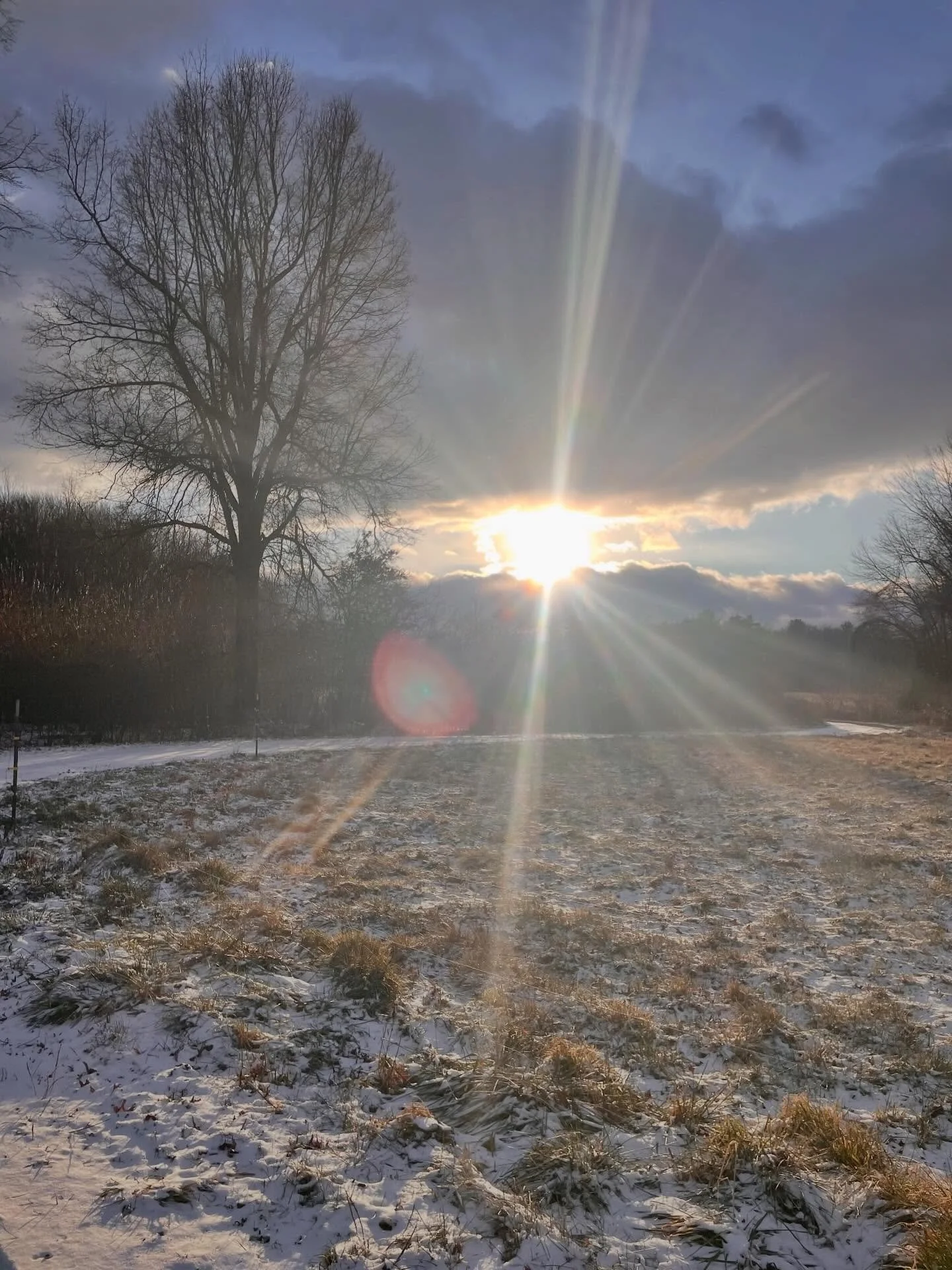 Blessed solstice all!! Here's to the return of the light! 🕯️✨🌞🙏🏼💛

#wintersolstice #longestnight #wheeloftheyear #seasonalherbalism #milkandhoneyherbs