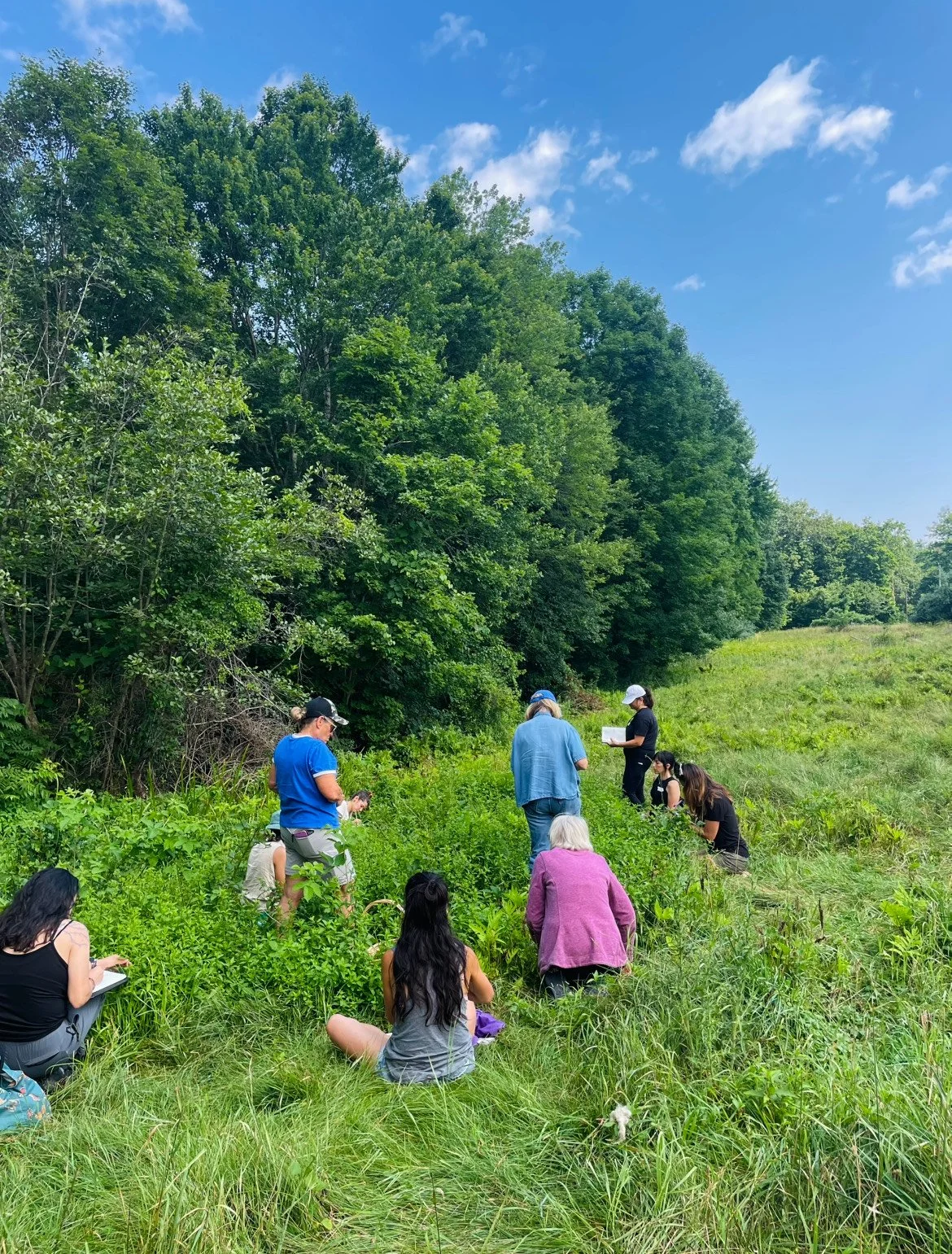 From the Roots Up 2026 Apprenticeship: Year I