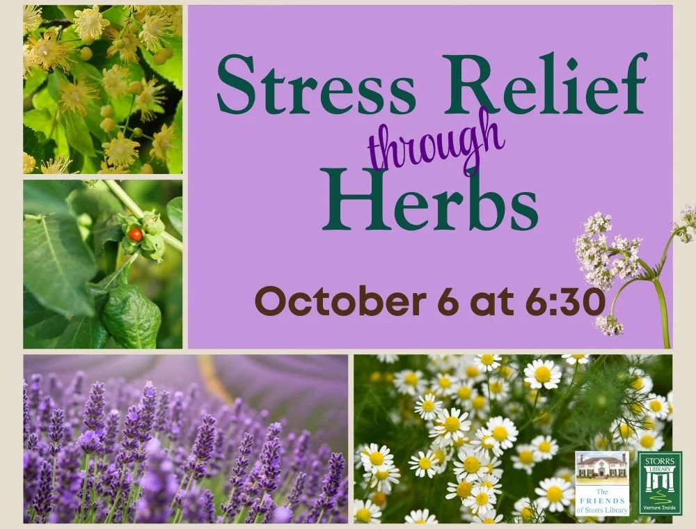 Stress Relief Through Herbs