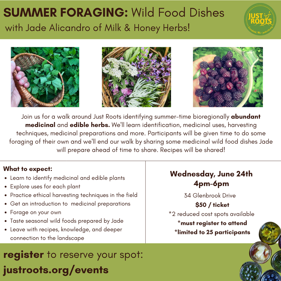 Summer Foraging & Wild Food Dishes