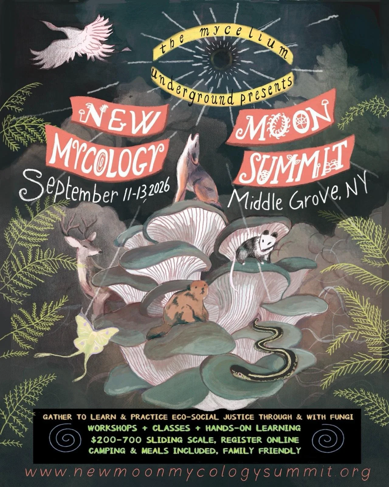 New Moon Mycology Summit