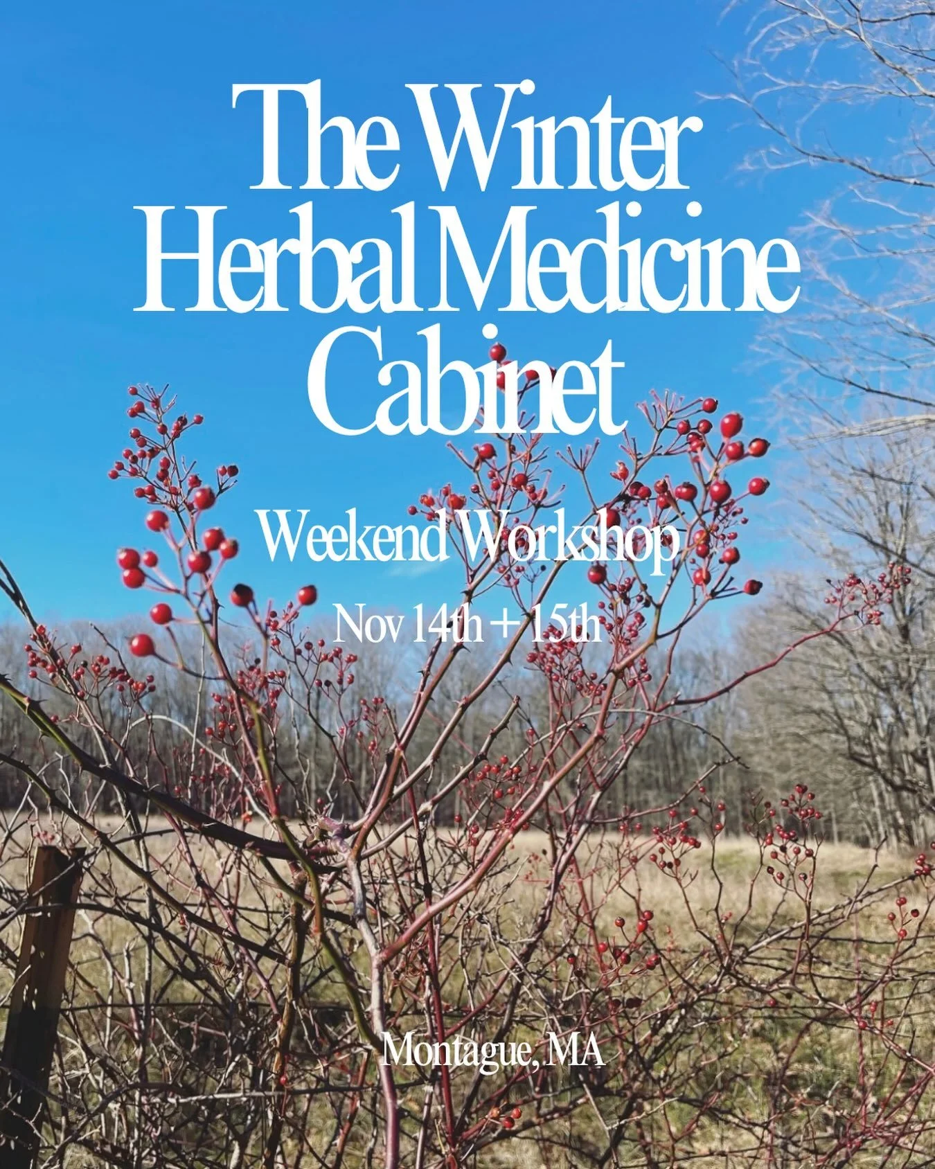 Very excited about this new offering❤️

The Winter Herbal Medicine Cabinet: Weekend Workshop
Nov 14th + 15th
9am-5pm
At Sawmill Herb Farm- Montague, MA

THE DEETS:
This class covers the elements of stocking the home apothecary with effective herbal r