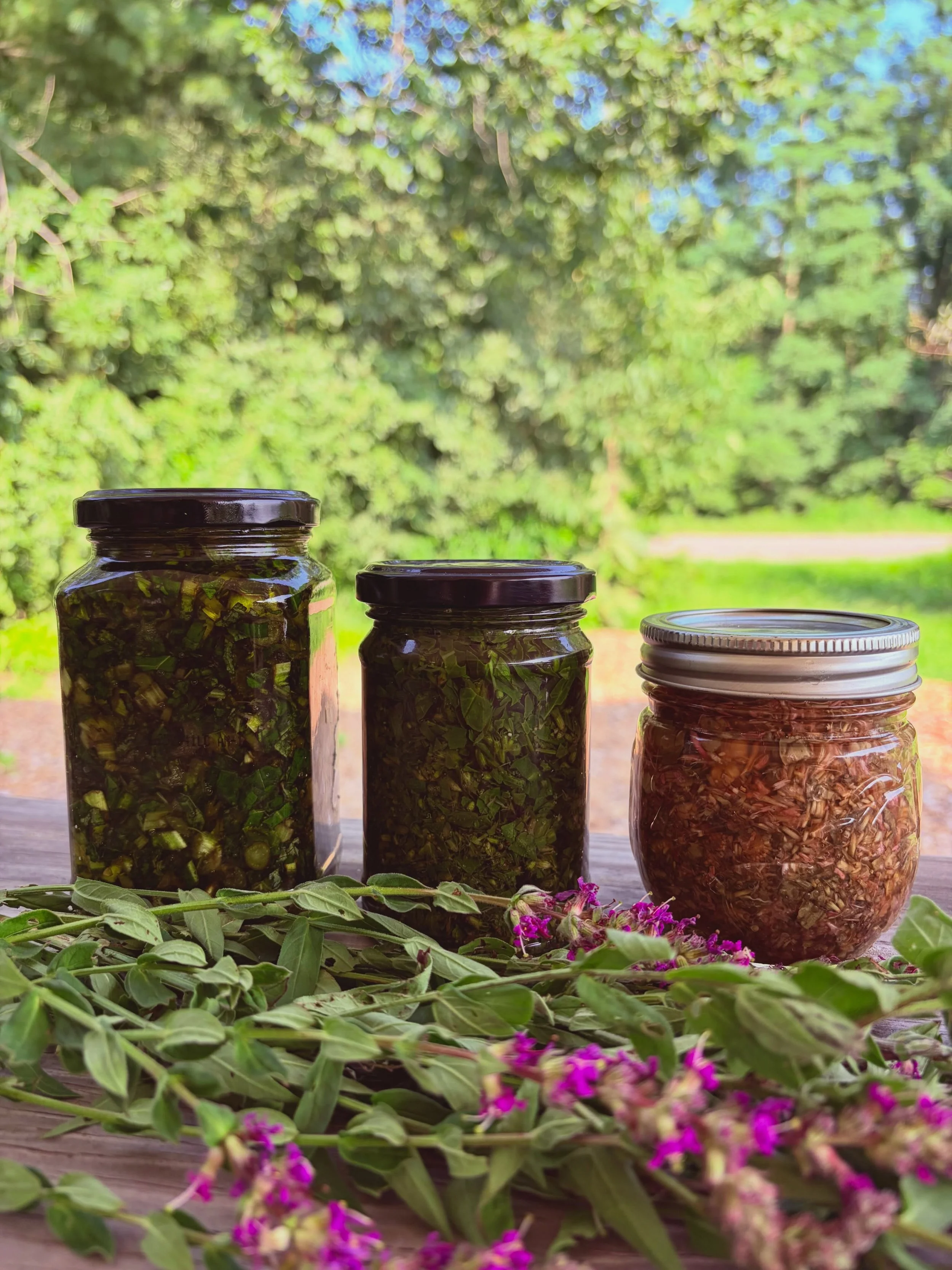 We had such a beautiful day in class this past weekend working with late summer beauties Bee Balm, Purple Loosestrife and Comfrey✨🌞🌿

In our From the Roots Up apprenticeships we build relationships with the abundant medicinals of the northeast bior