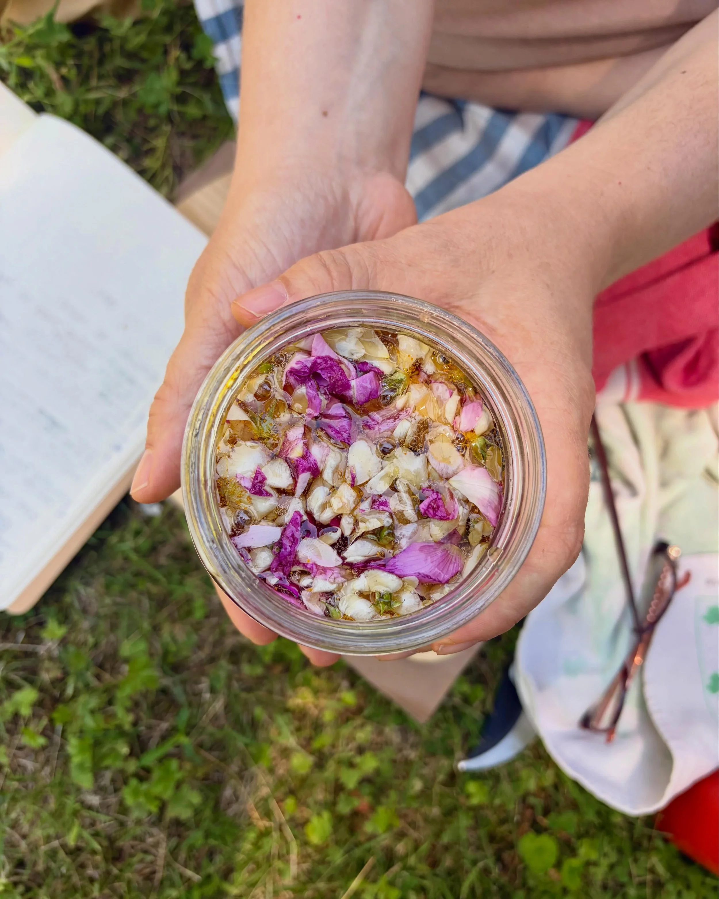 June class photo drip💧🌸✨ Working with Rose, Plantain, Red clover, Lamb's Quarters, Blackberry and more in our Year 1 and nervines and nervous system support such as Lemon Balm, Linden, Sage, Lavender, Wild Chanomile and Wild Lettuce in Year 2. And 