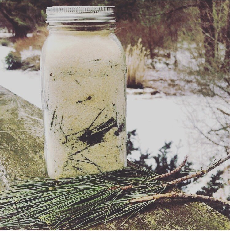 White Pine Medicine — Milk & Honey Herbs